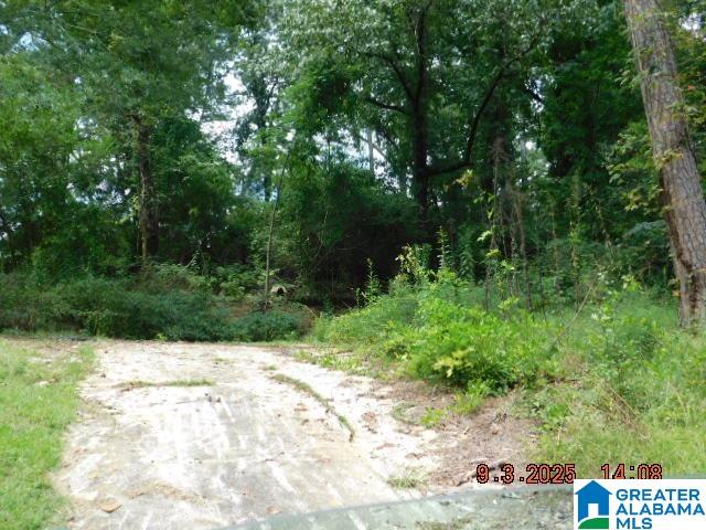 4908 BRANCHVILLE ROAD