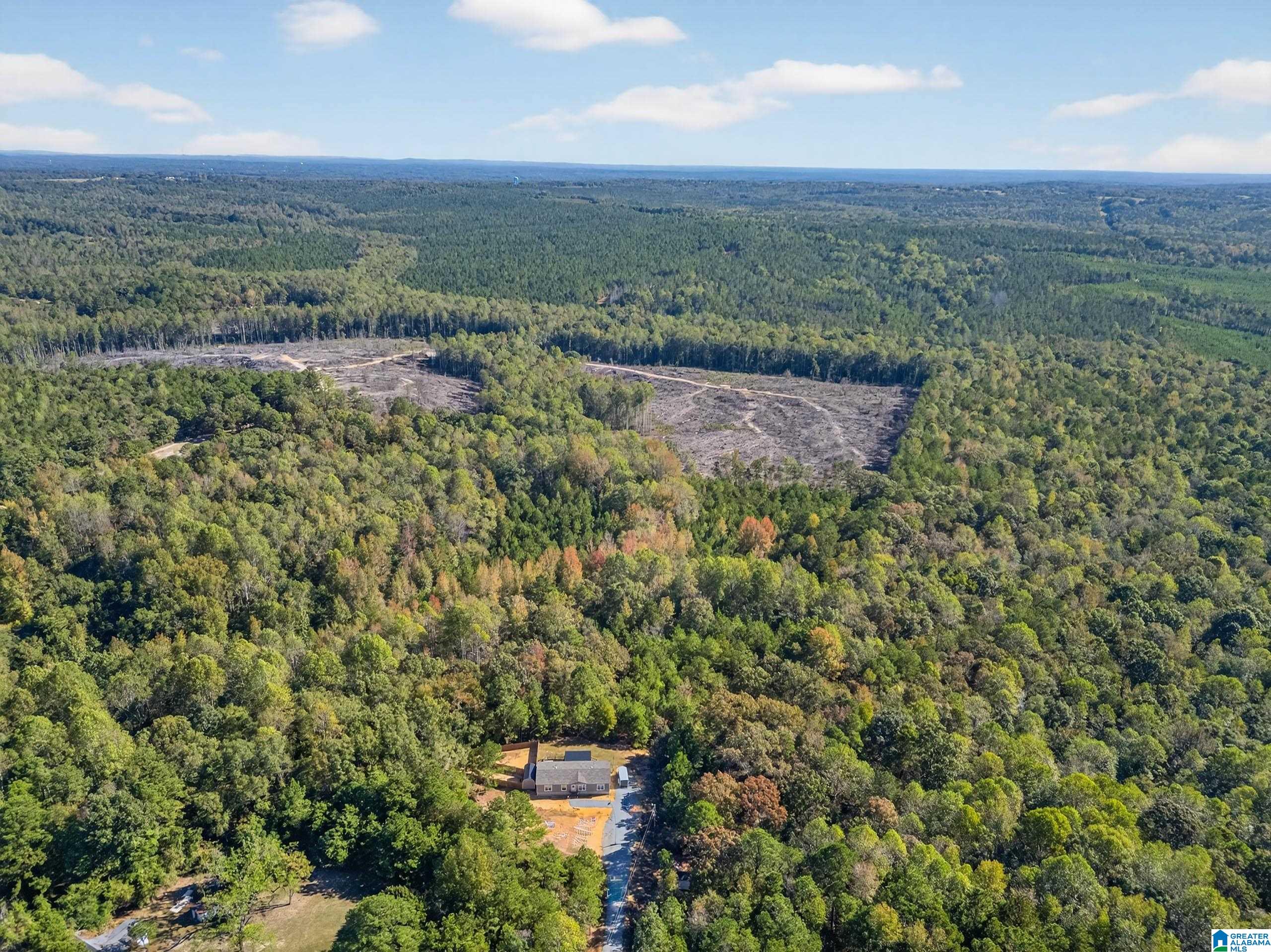 Homes for sale in Clanton, AL | 70 County Road 358, Clanton, AL 35045 | MLS# 21434327