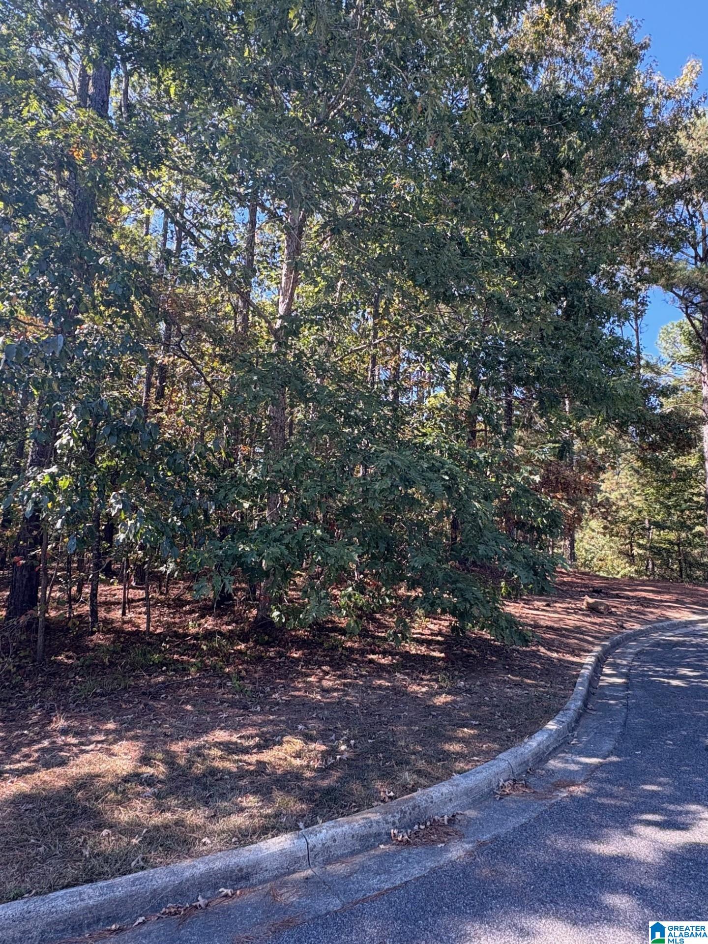 339 ALTA VISTA DRIVE
