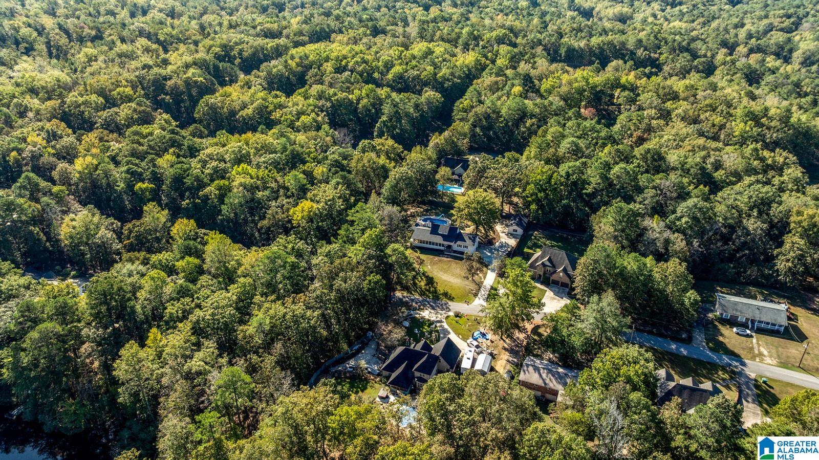 Homes for sale in Lake View, AL | 21295 Leslie Dr, Lake View, AL 35111 | MLS# 21434437