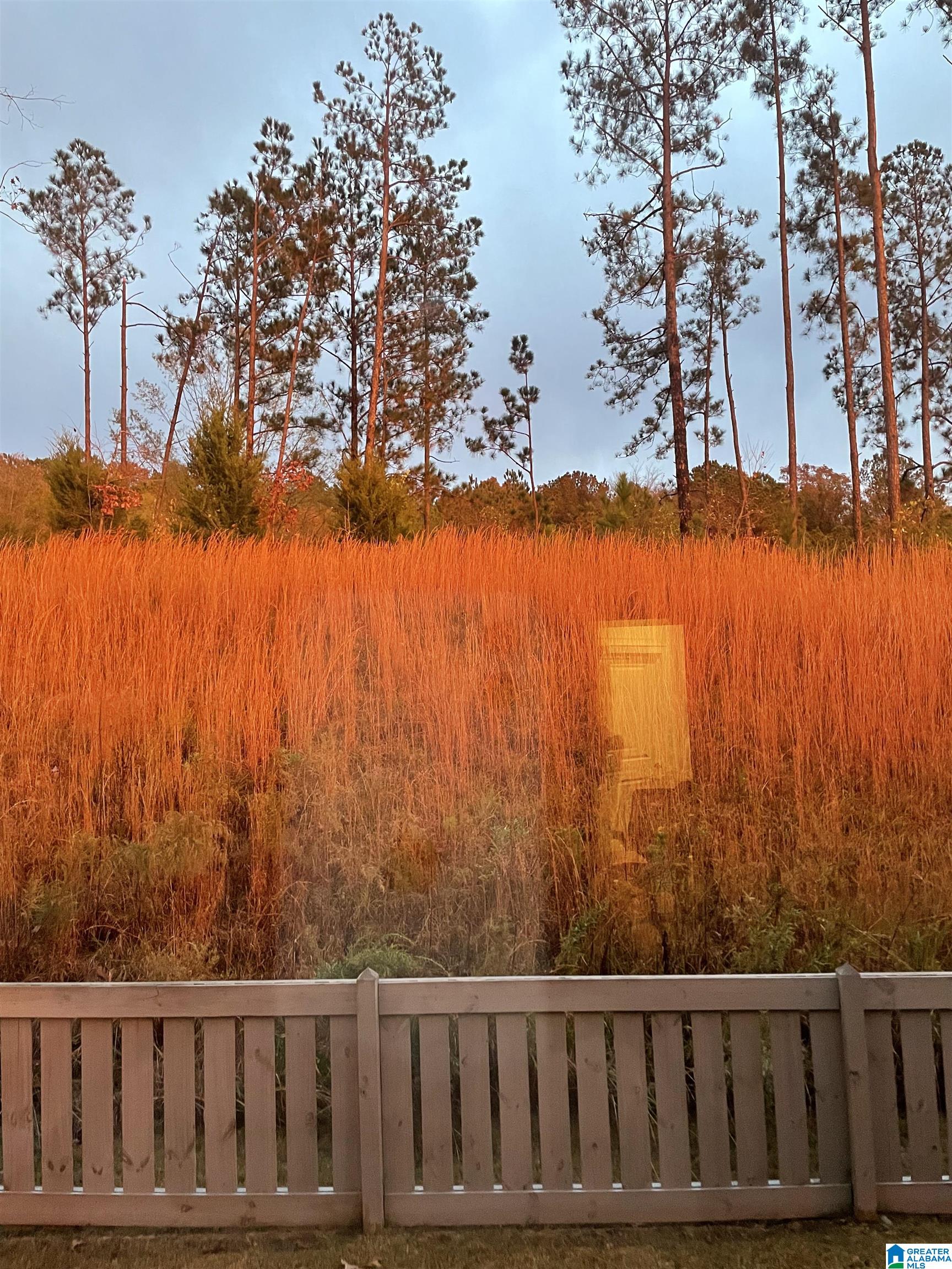 Homes for sale in Hoover, AL | 5787 Brayden Circle, Hoover, AL 35244 | MLS# 21434504