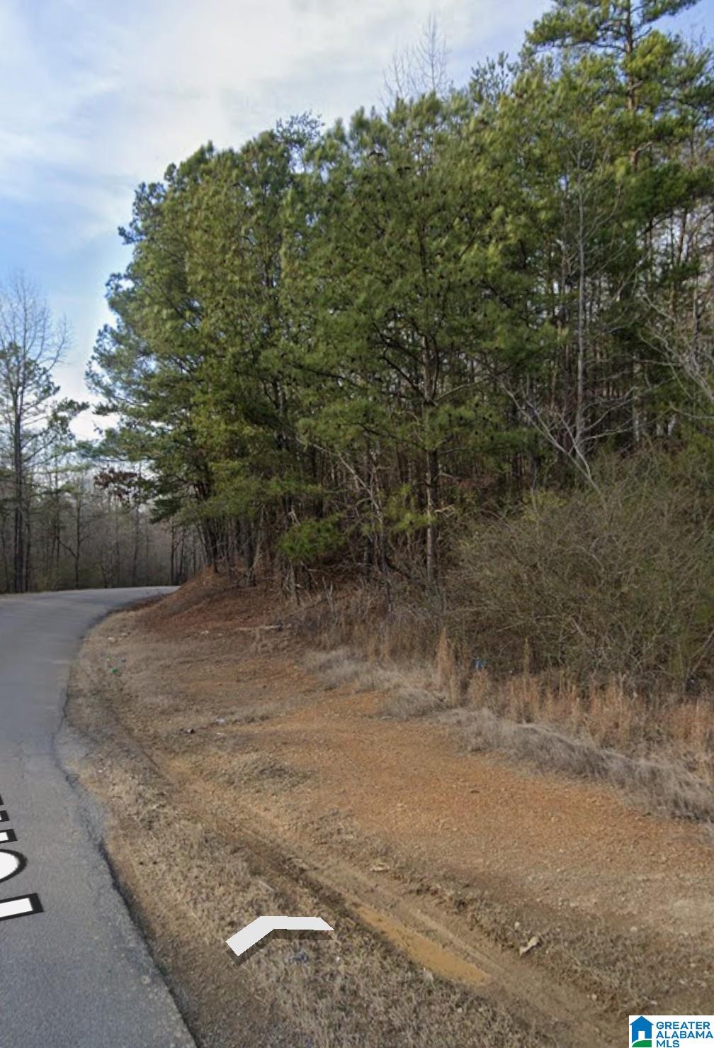 1 YORK MOUNTAIN ROAD