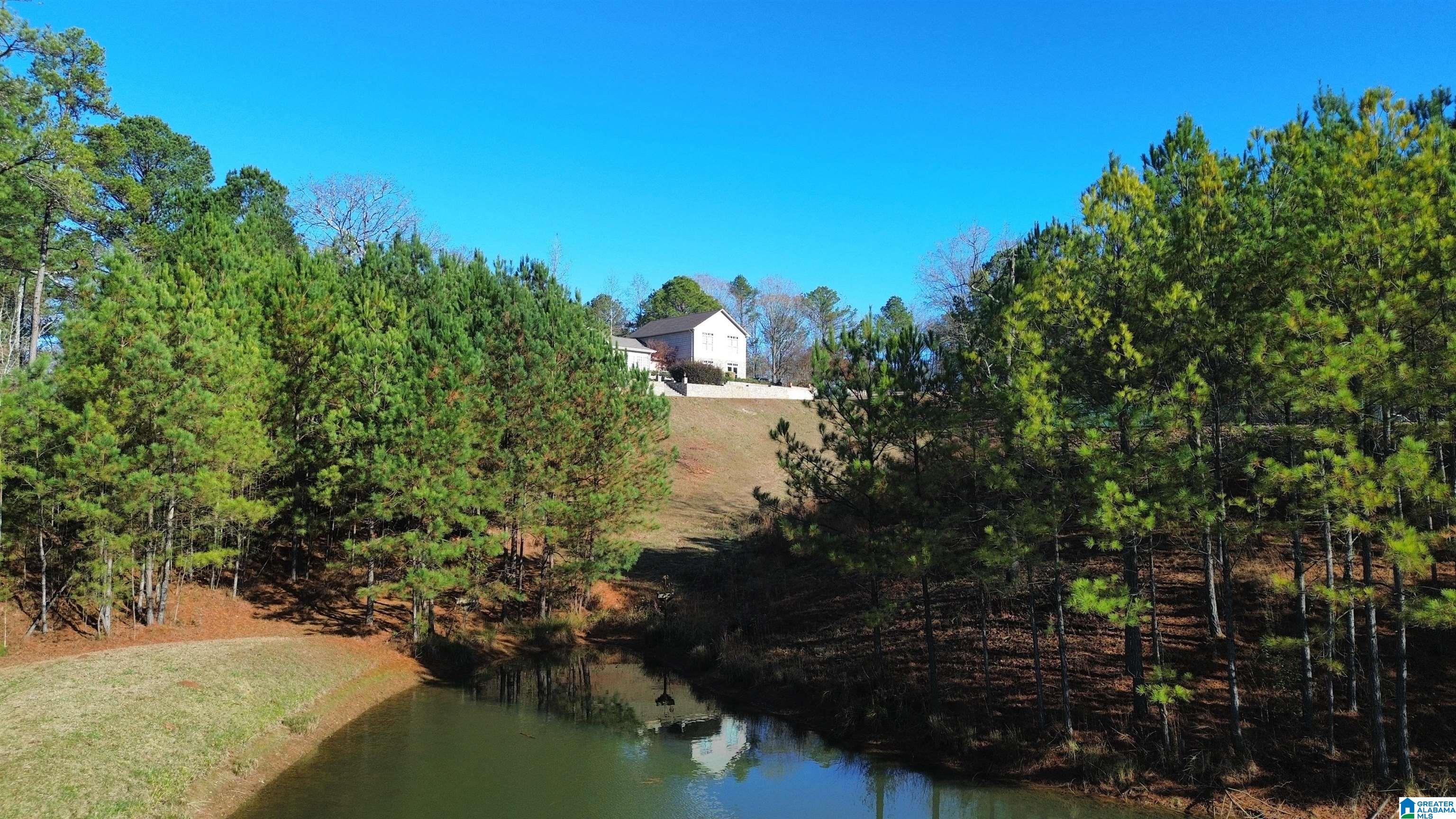 Homes for sale in Rockford, AL | 1782 County Road 34, Rockford, AL 35136 | MLS# 21434744