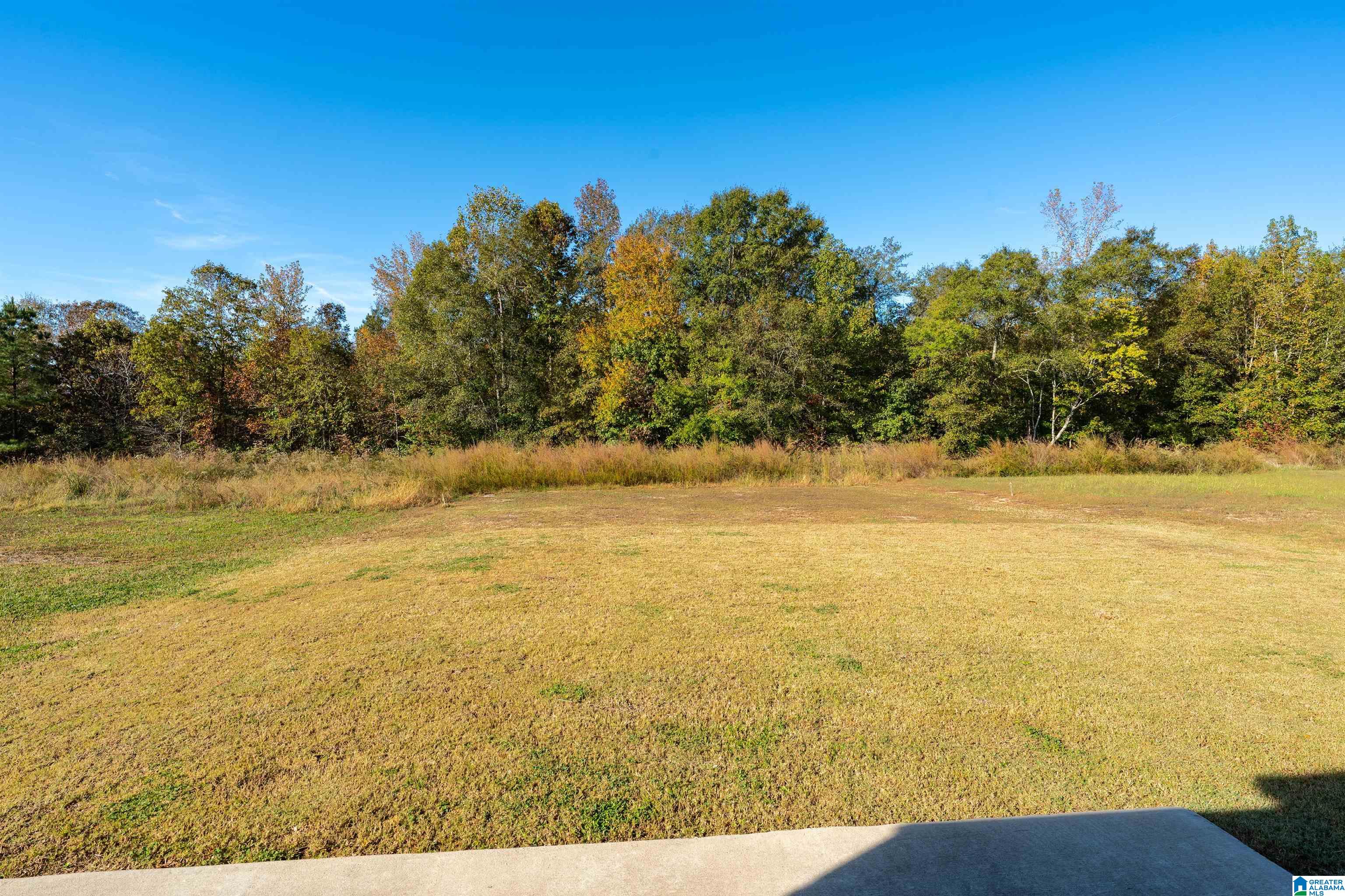 Homes for sale in Margaret, AL | 115 Sussex Road, Margaret, AL 35120 | MLS# 21434856