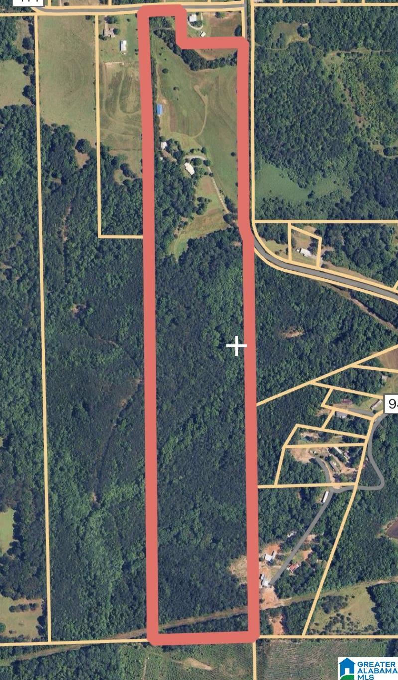 53rd image of 390 County Road 423, Clanton, AL 35045 | MLS# 21435093