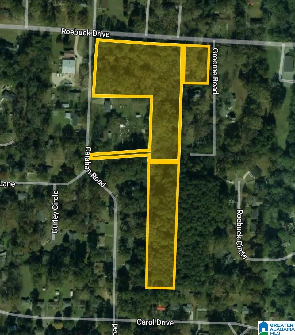 317 ROEBUCK DRIVE