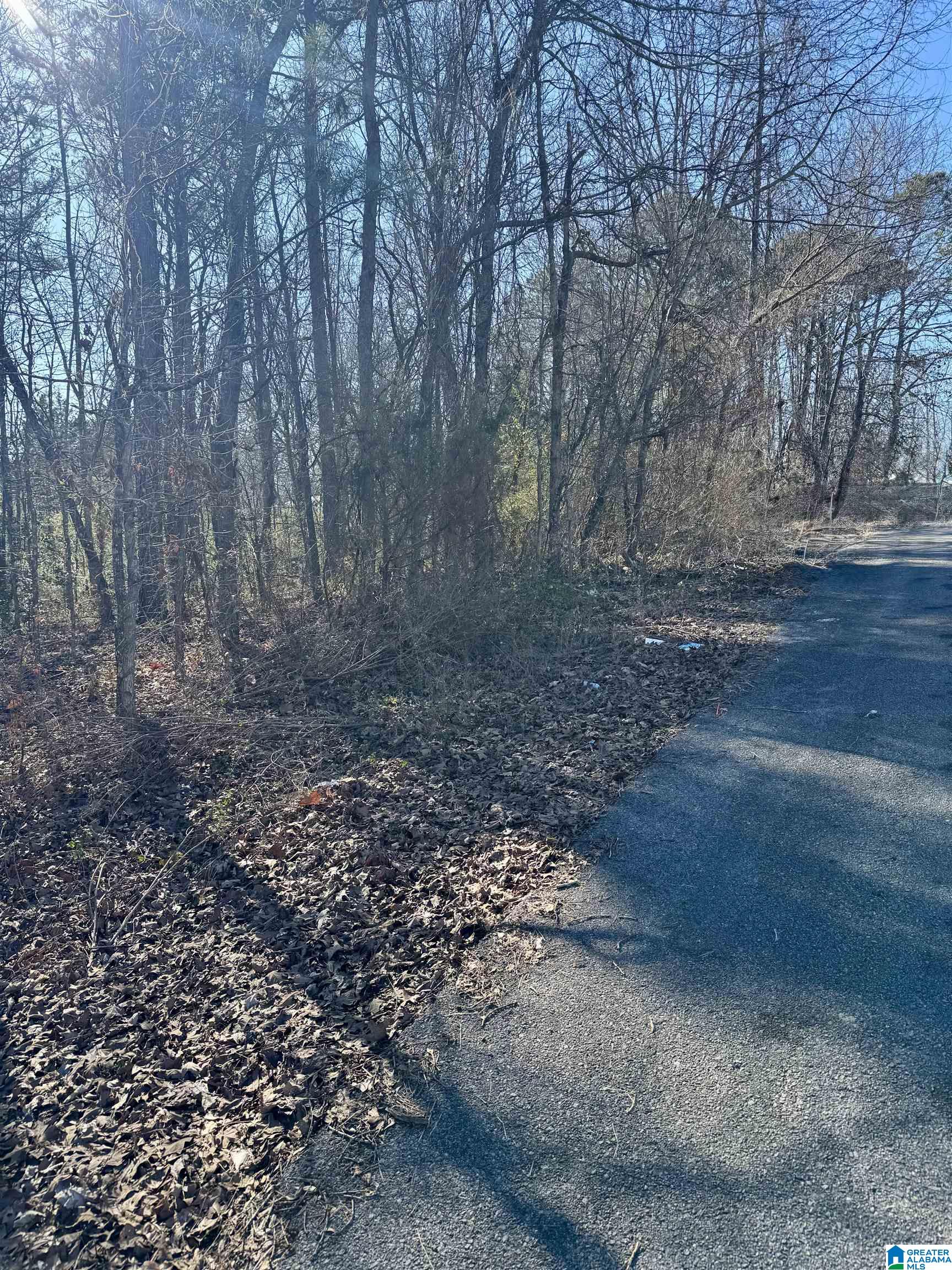 Homes for sale in Jacksonville, AL | 0 Silver Circle, Jacksonville, AL 36265 | MLS# 21435227