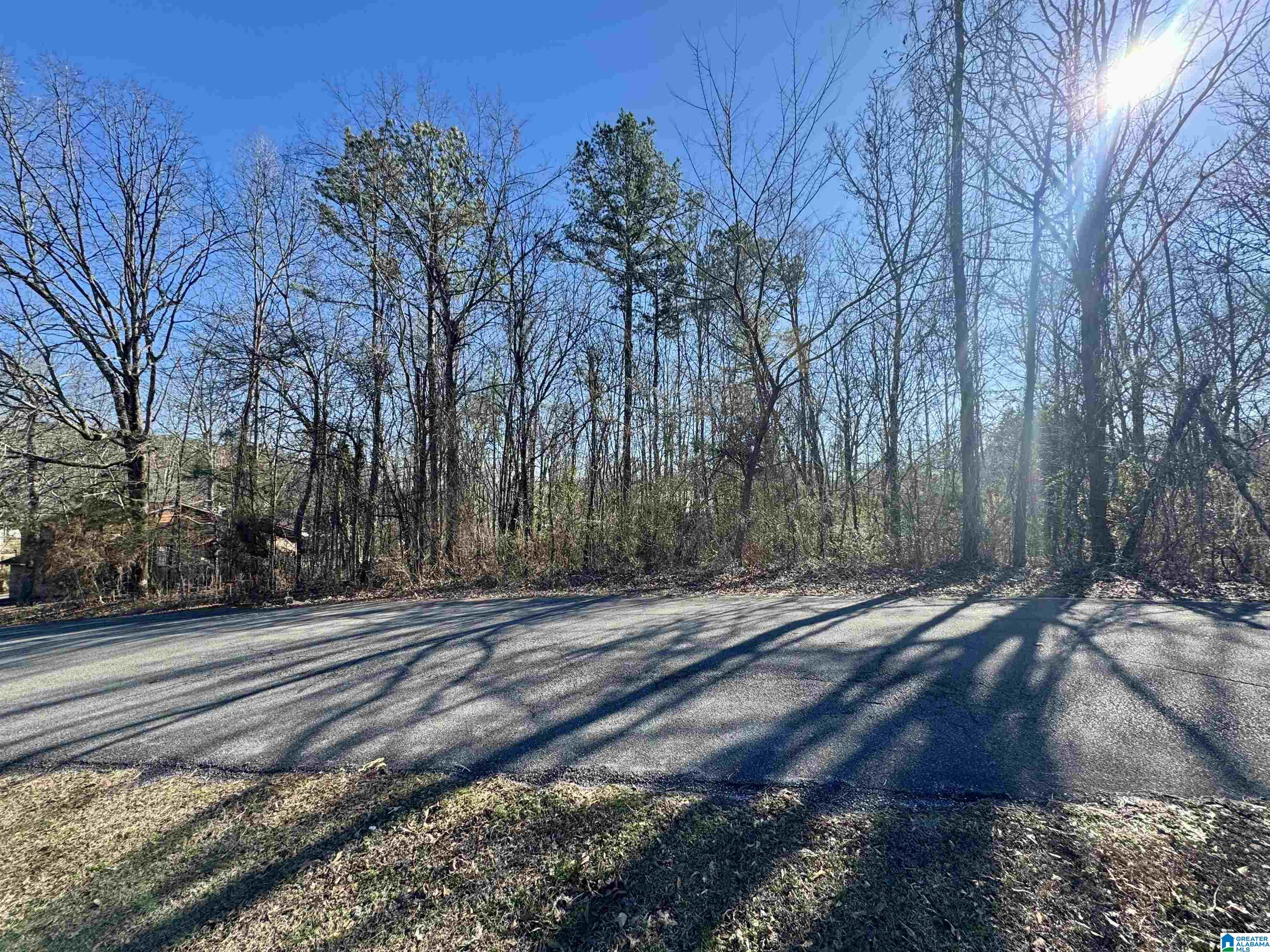 Homes for sale in Jacksonville, AL | 0 Silver Circle, Jacksonville, AL 36265 | MLS# 21435227