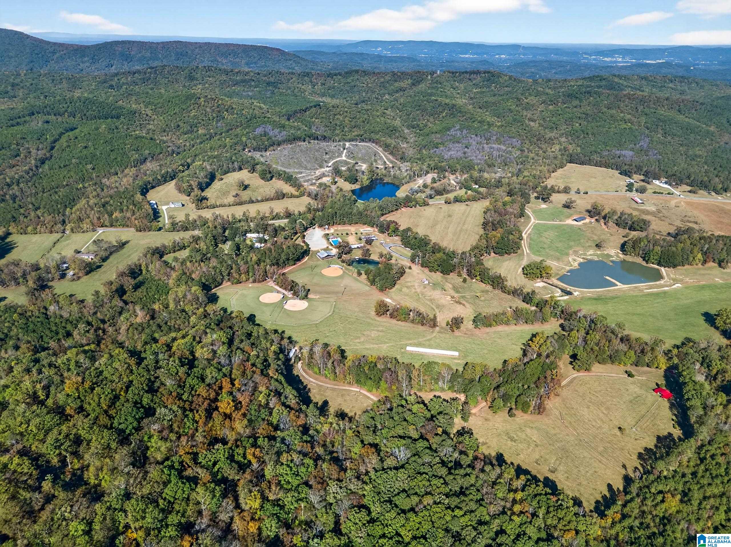 Homes for sale in Delta, AL | 3463 County Road 3, Delta, AL 36258 | MLS# 21435386