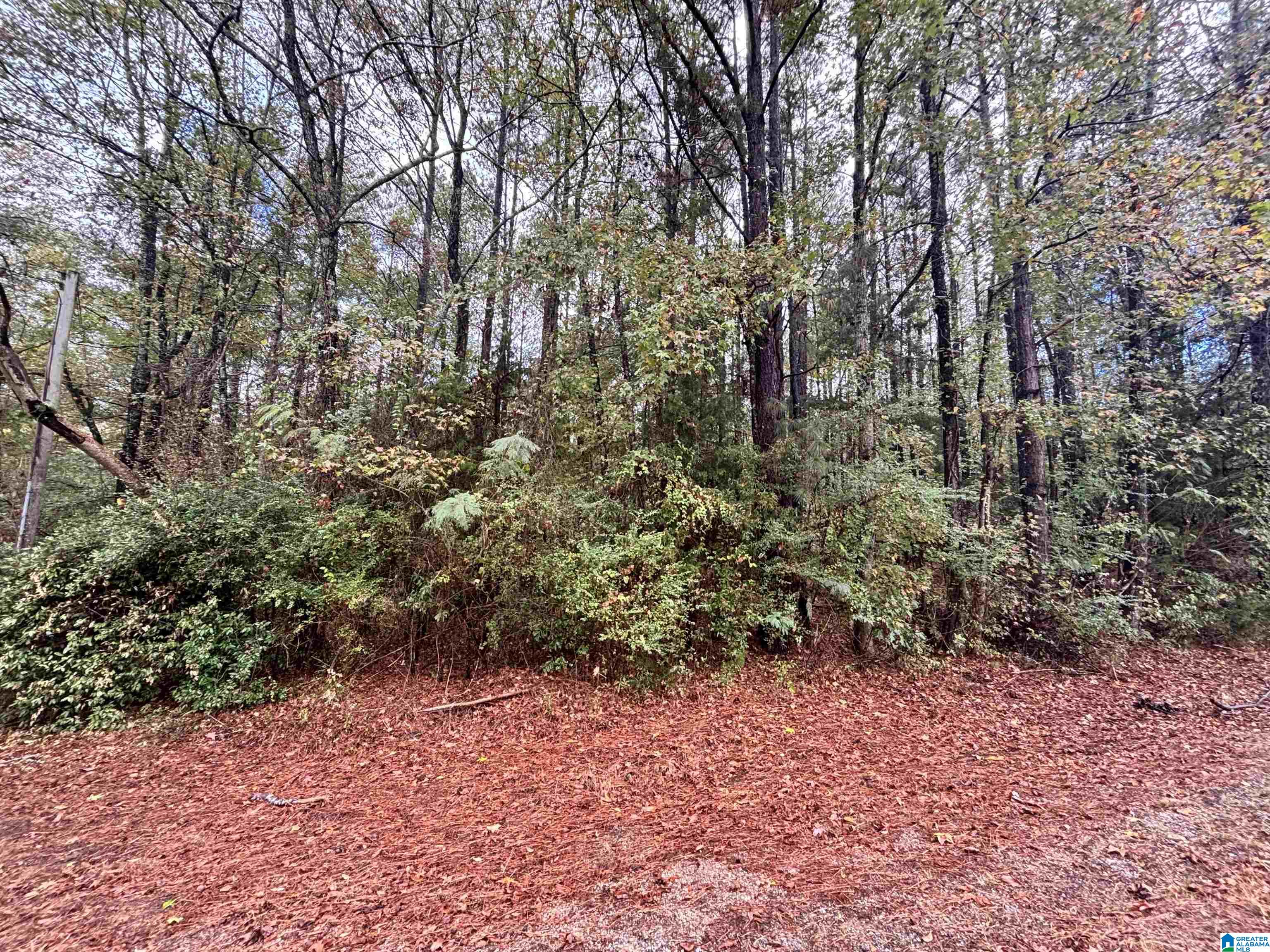 275 JONESBORO CIRCLE