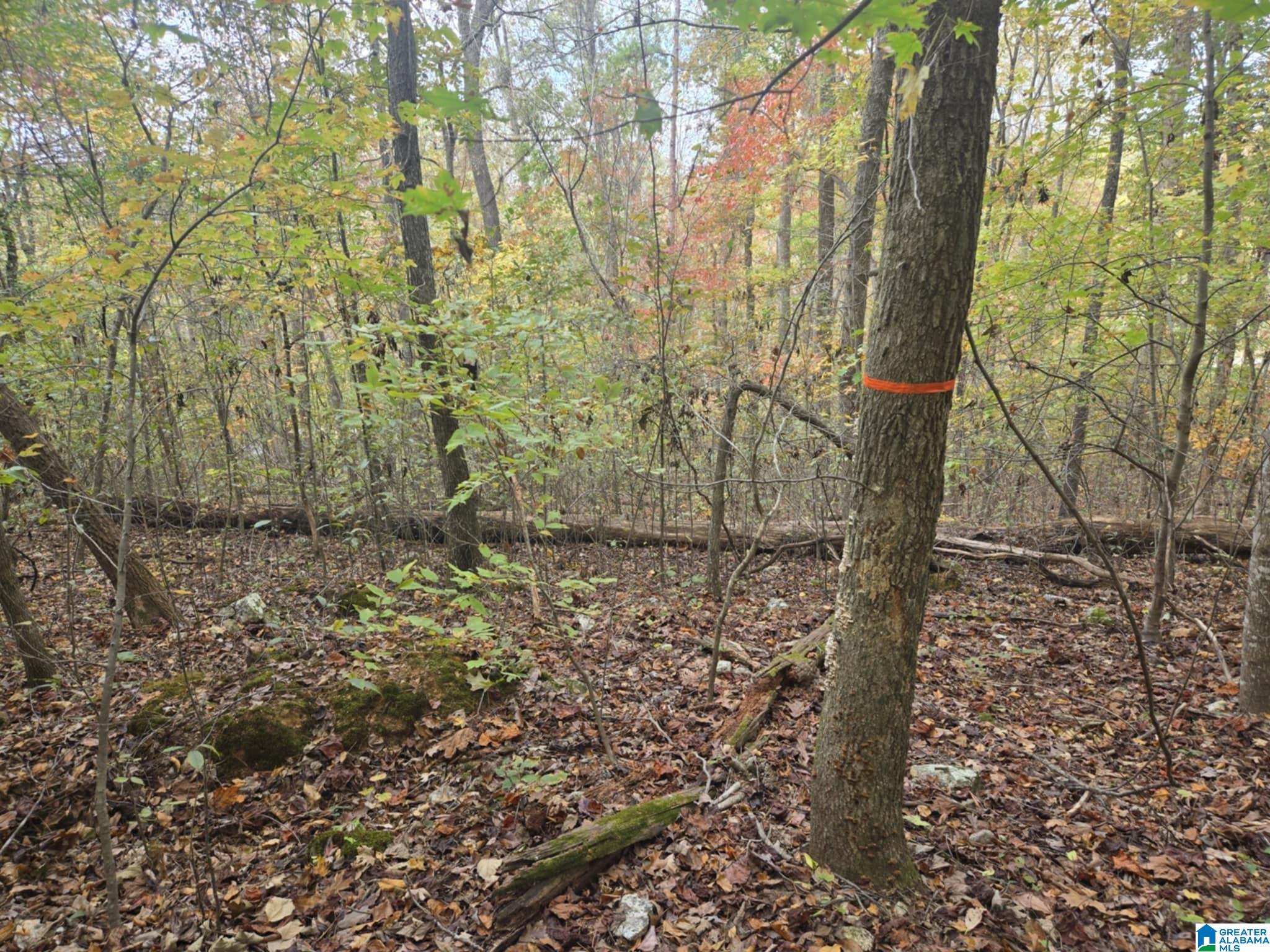 Homes for sale in Moody, AL | Bohannon Dr, Moody, AL 35004 | MLS# 21435523