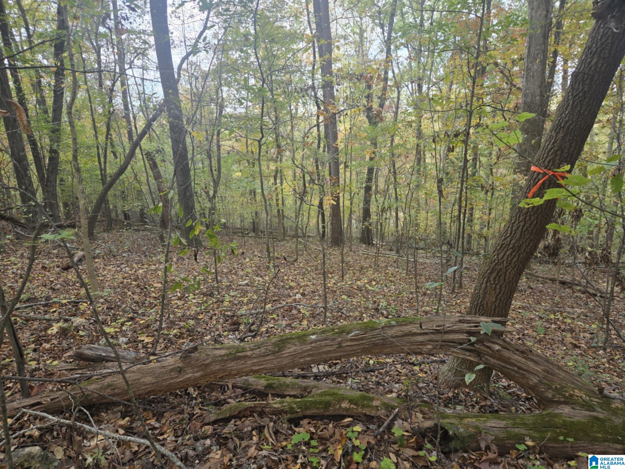 Homes for sale in Moody, AL | Bohannon Dr, Moody, AL 35004 | MLS# 21435523