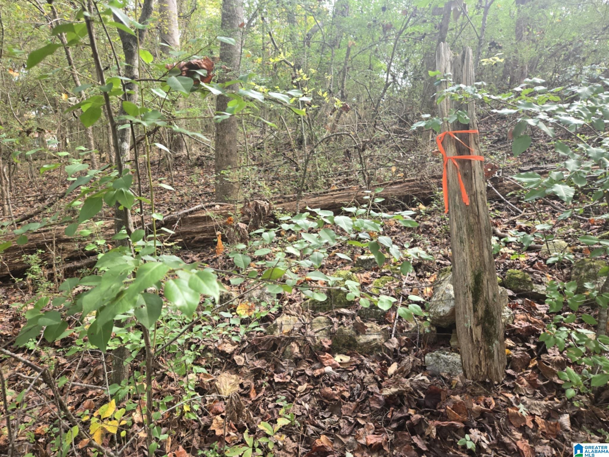 Homes for sale in Moody, AL | Bohannon Dr, Moody, AL 35004 | MLS# 21435523