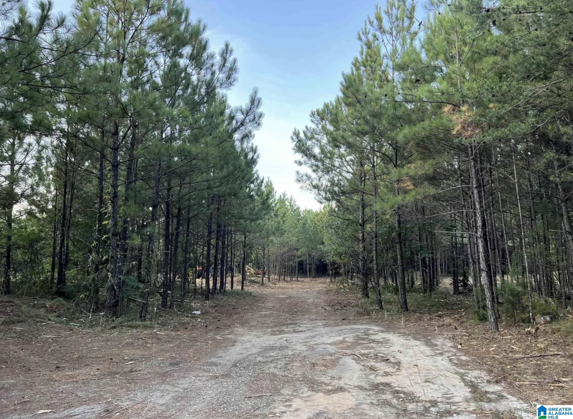 2210 SWEENEY HOLLOW ROAD