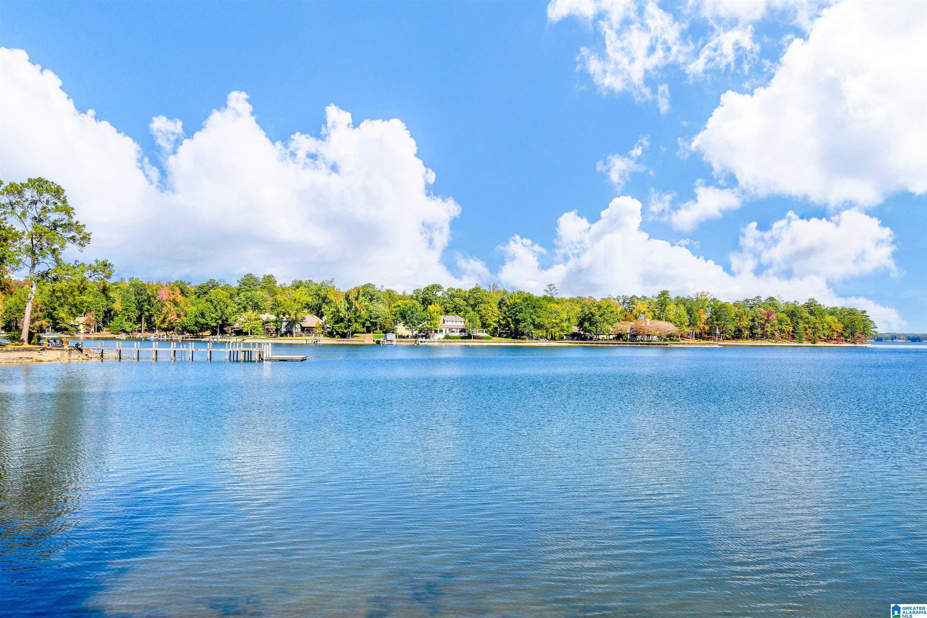 Homes for sale in Eclectic, AL | 157 Beach Dr, Eclectic, AL 36024 | MLS# 21435541