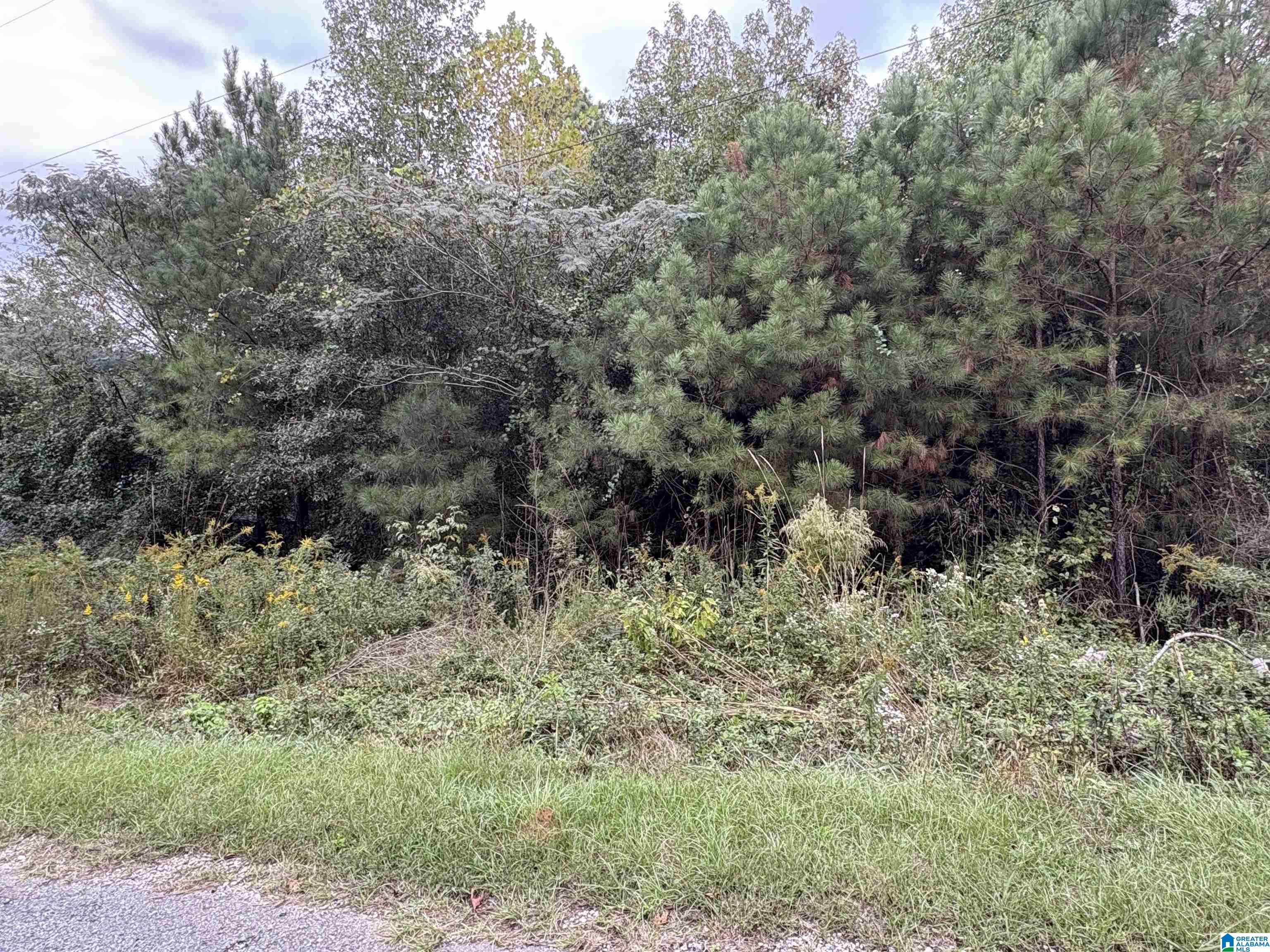0 LOST CREEK CIRCLE
