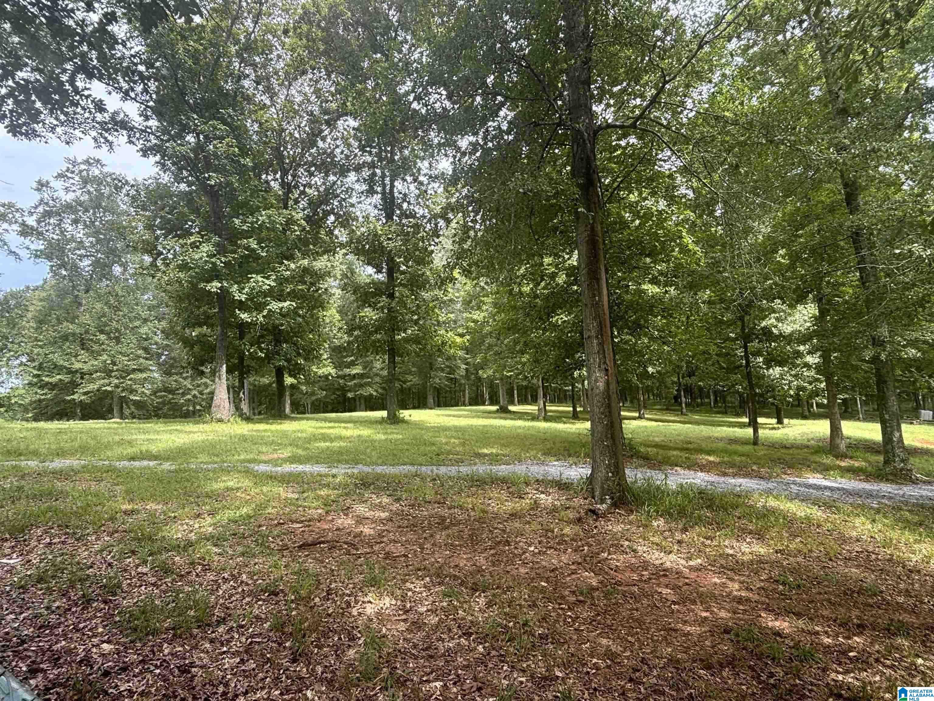 4th image of 405 Hwy 77, Columbiana, AL 35051 | MLS# 21435714