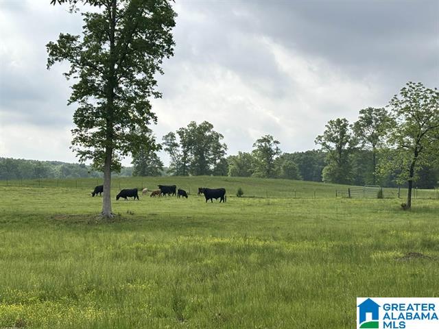 5th image of 405 Hwy 77, Columbiana, AL 35051 | MLS# 21435714