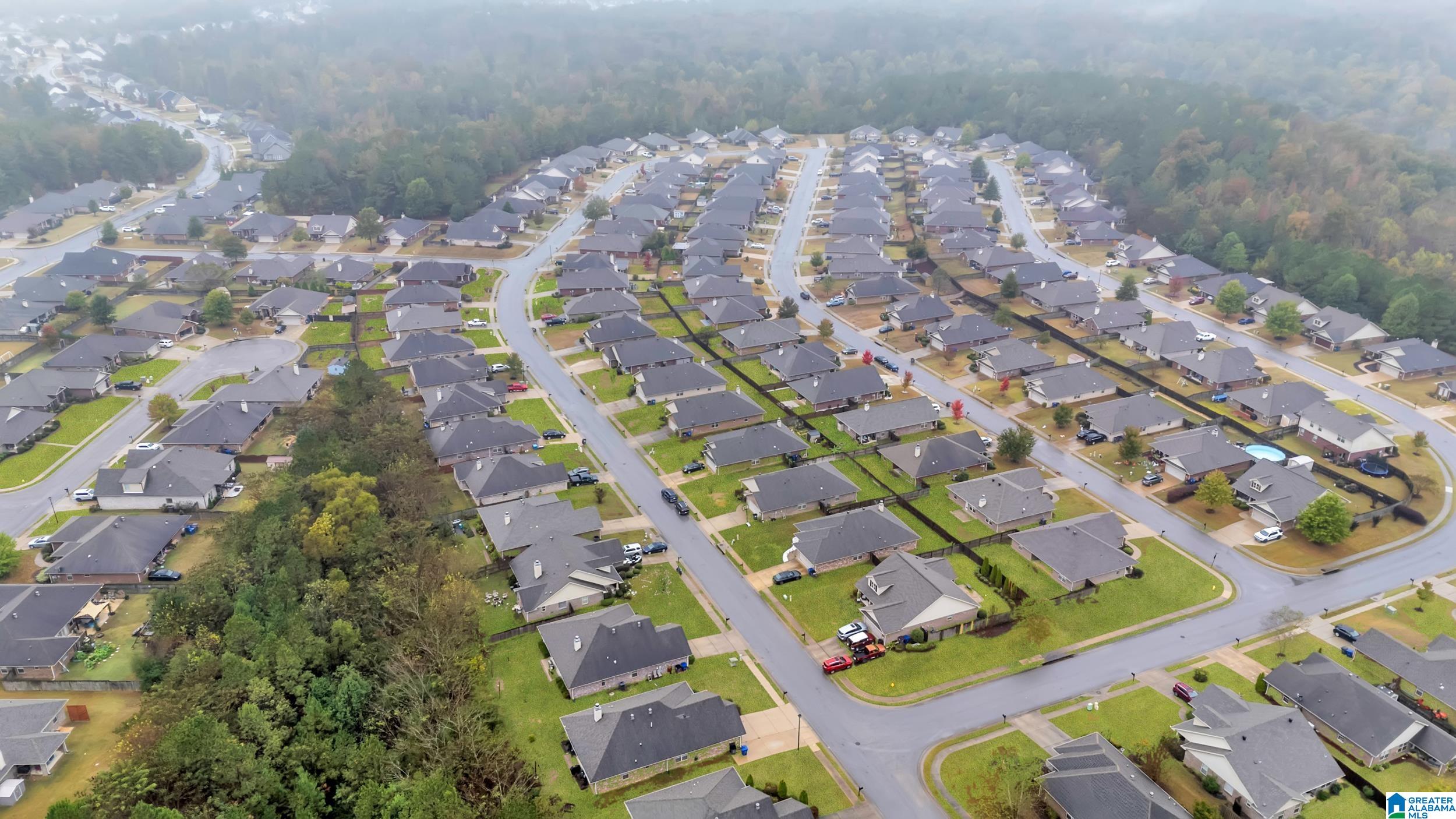 Homes for sale in Helena, AL | 129 River Crest Lane, Helena, AL 35080 | MLS# 21435795