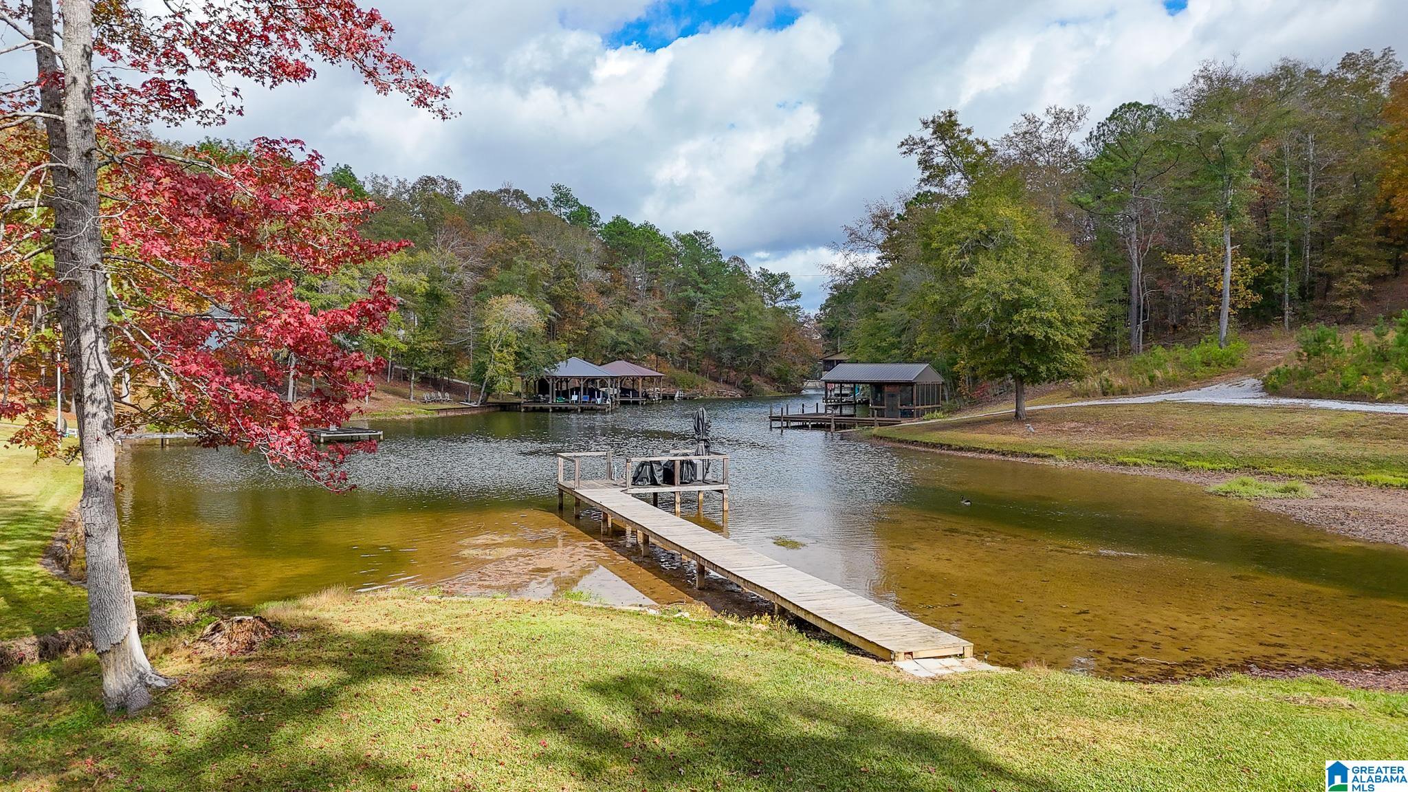 Homes for sale in Alpine, AL | 560 Davis Acres Dr, Alpine, AL 35014 | MLS# 21436184