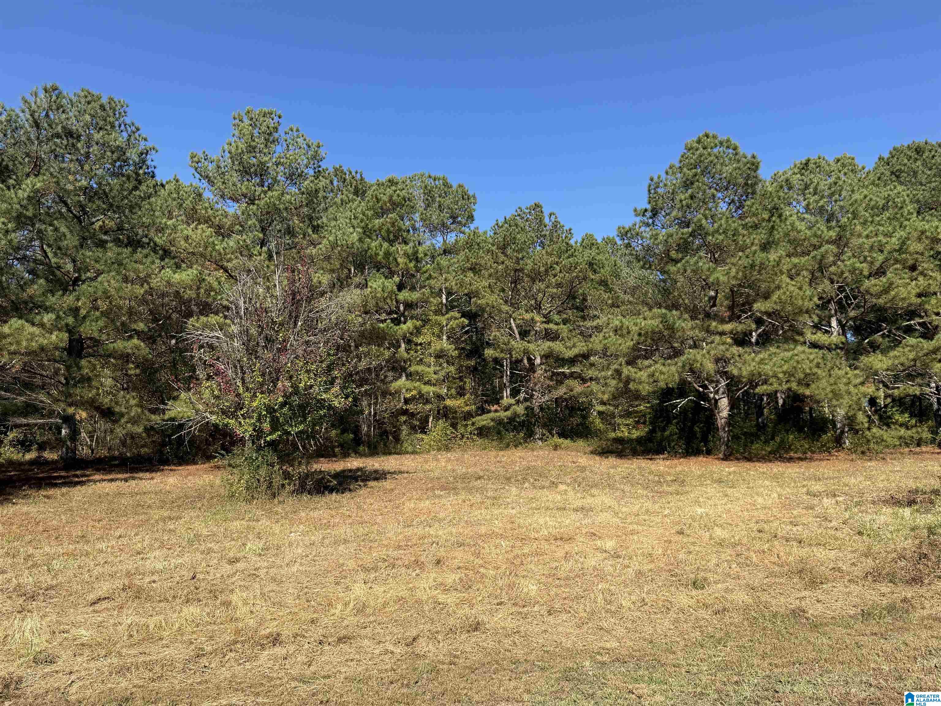 Homes for sale in Oneonta, AL | 3701 Hwy 132, Oneonta, AL 35121 | MLS# 21436362