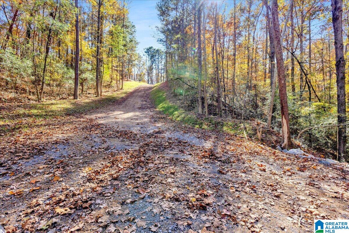 0 HAMMOCK ROAD