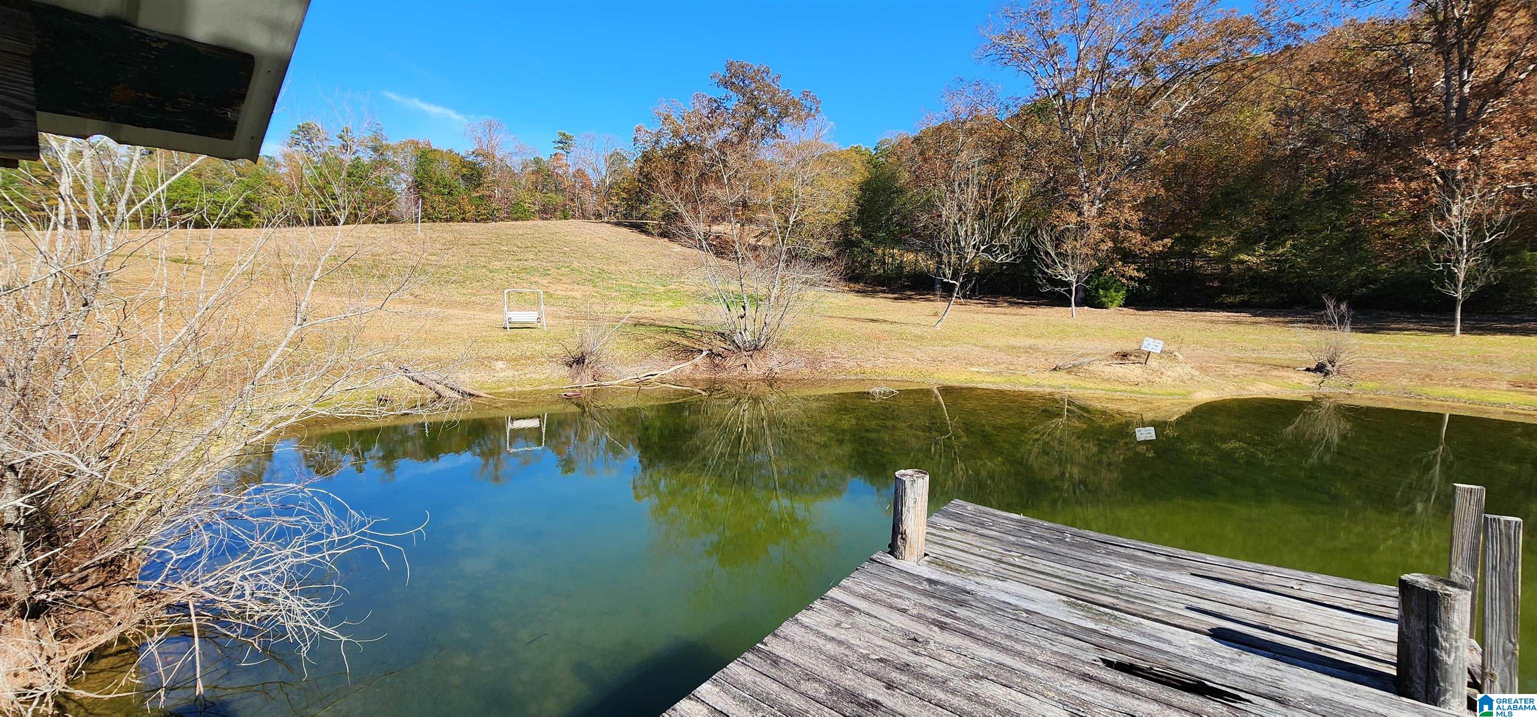 Homes for sale in Oneonta, AL | 352 Kudzu Road, Oneonta, AL 35121 | MLS# 21436735