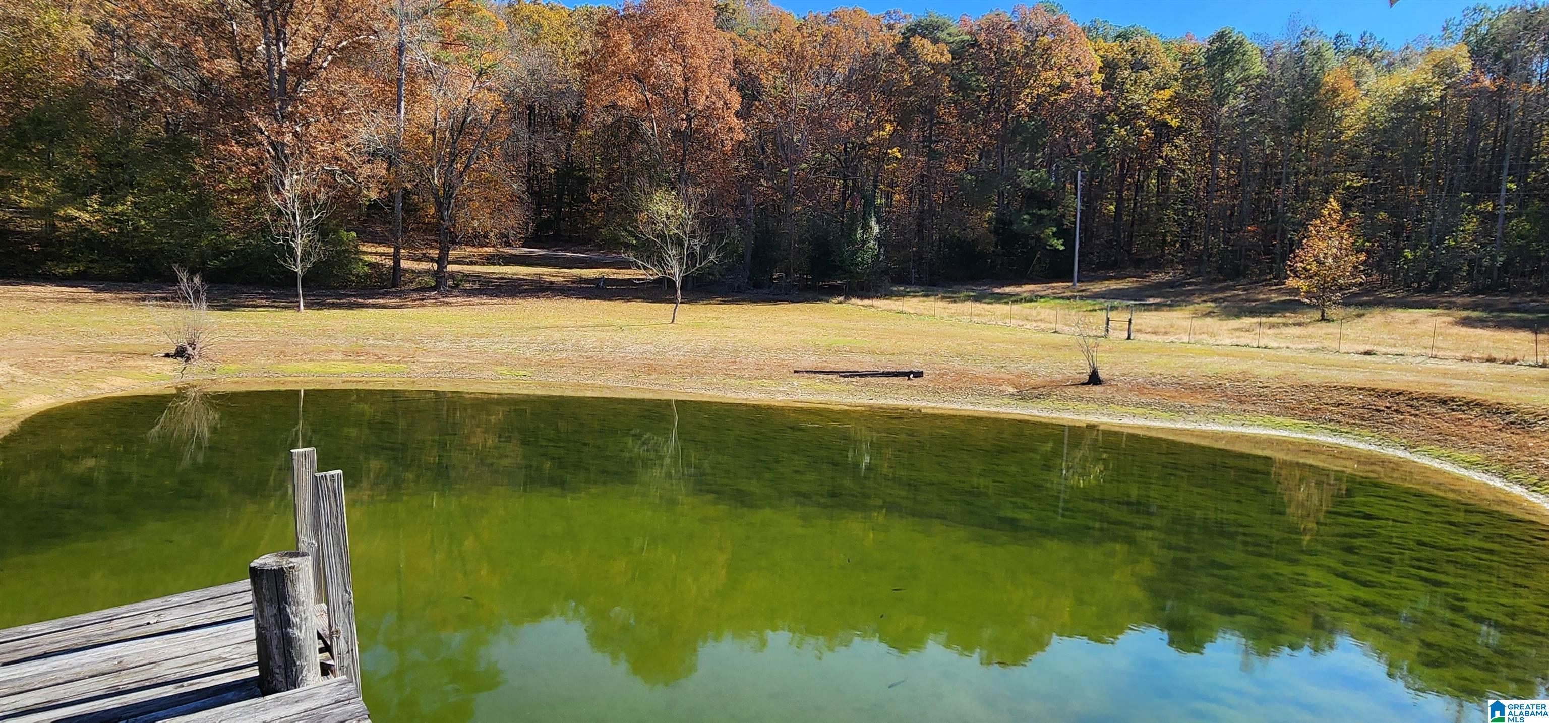 3rd image of 352 Kudzu Road, Oneonta, AL 35121 | MLS# 21436735