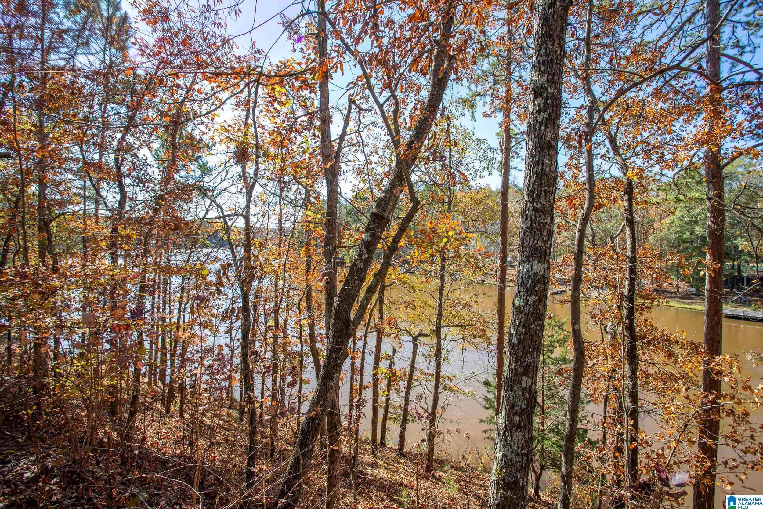Homes for sale in Delta, AL | 114 Lakeside Circle, Delta, AL 36258 | MLS# 21436818