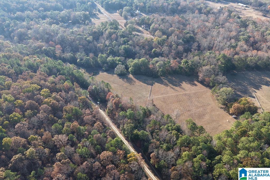 Homes for sale in Montevallo, AL | 330 County Road 1055, Montevallo, AL 35115 | MLS# 21437144