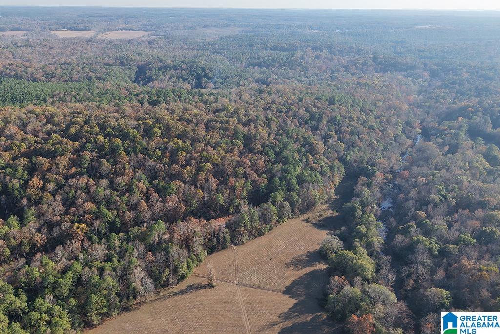 Homes for sale in Montevallo, AL | 330 County Road 1055, Montevallo, AL 35115 | MLS# 21437144