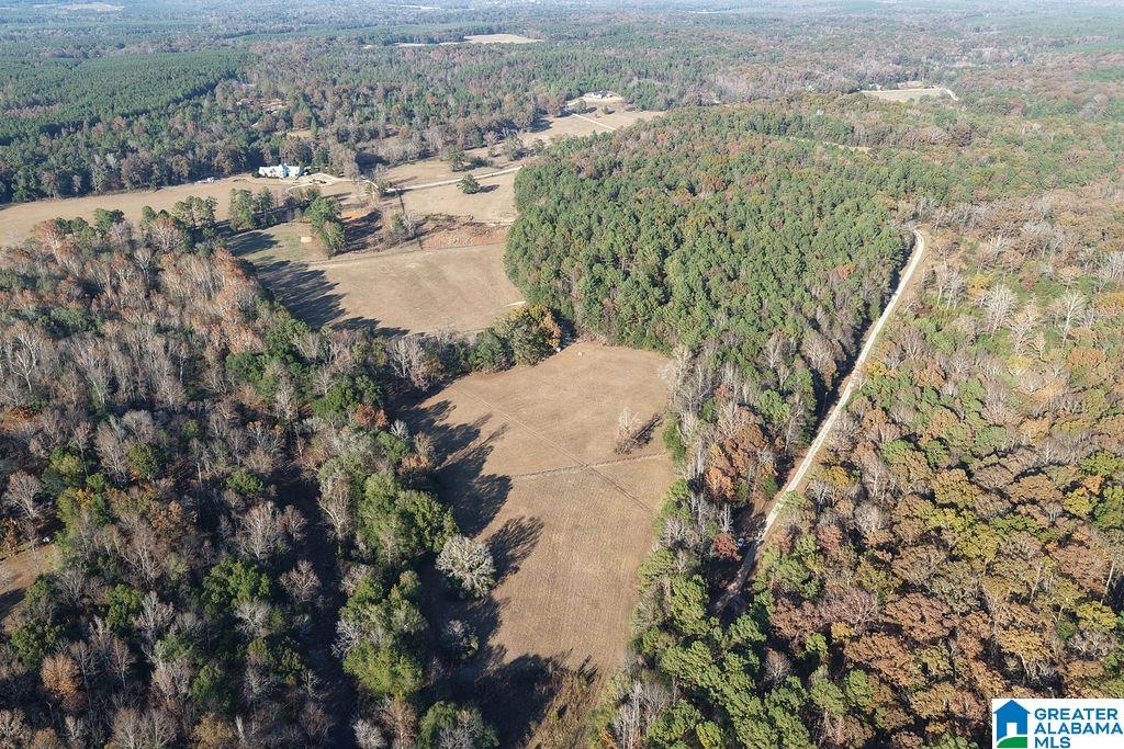 Homes for sale in Montevallo, AL | 330 County Road 1055, Montevallo, AL 35115 | MLS# 21437144