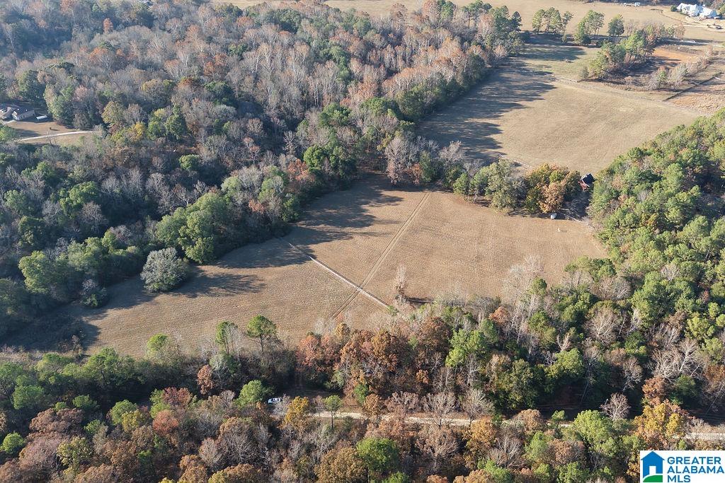 Homes for sale in Montevallo, AL | 330 County Road 1055, Montevallo, AL 35115 | MLS# 21437144