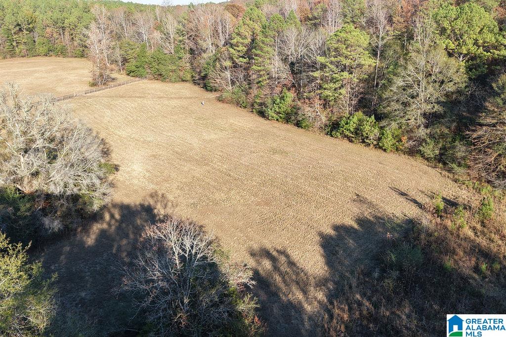 Homes for sale in Montevallo, AL | 330 County Road 1055, Montevallo, AL 35115 | MLS# 21437144