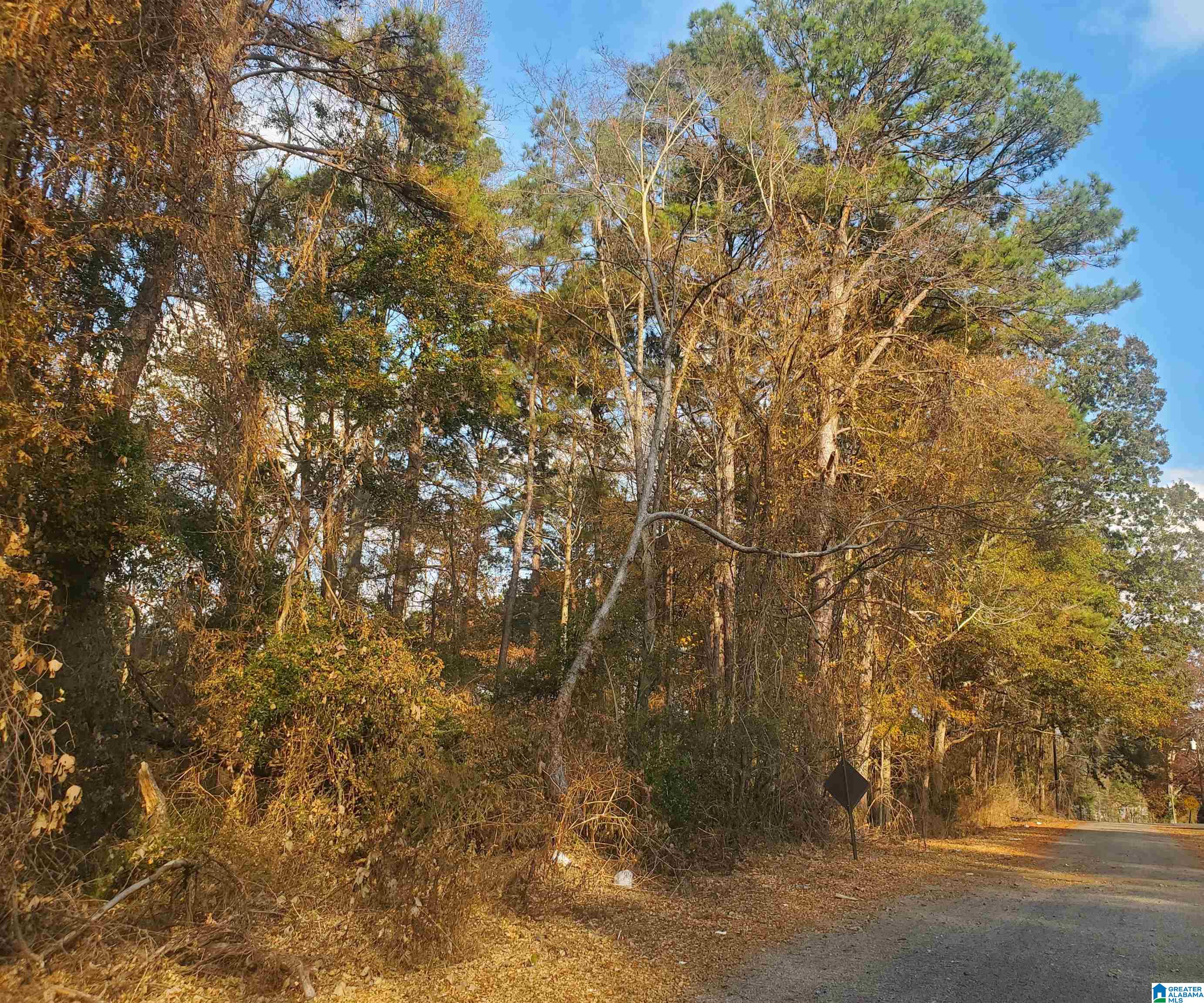 LONGSHORE STREET