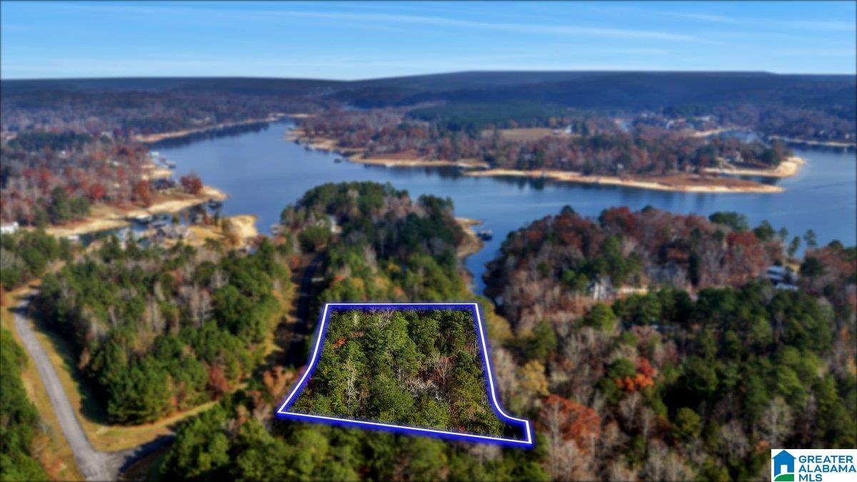 Homes for sale in Double Springs, AL | Long Point Road, Double Springs, AL 35553 | MLS# 21437458