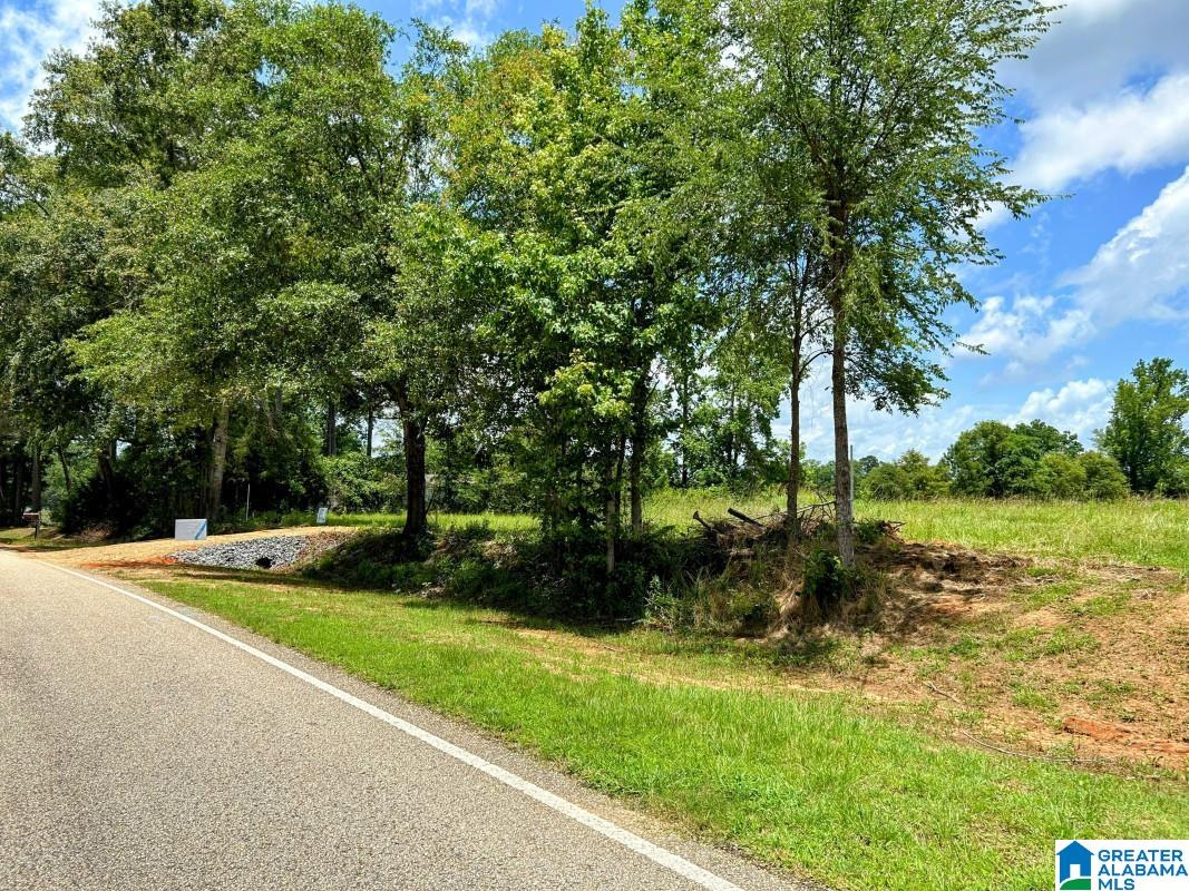 Homes for sale in Northport, AL | 415 Acres N Hagler Road, Northport, AL 35475 | MLS# 21437545