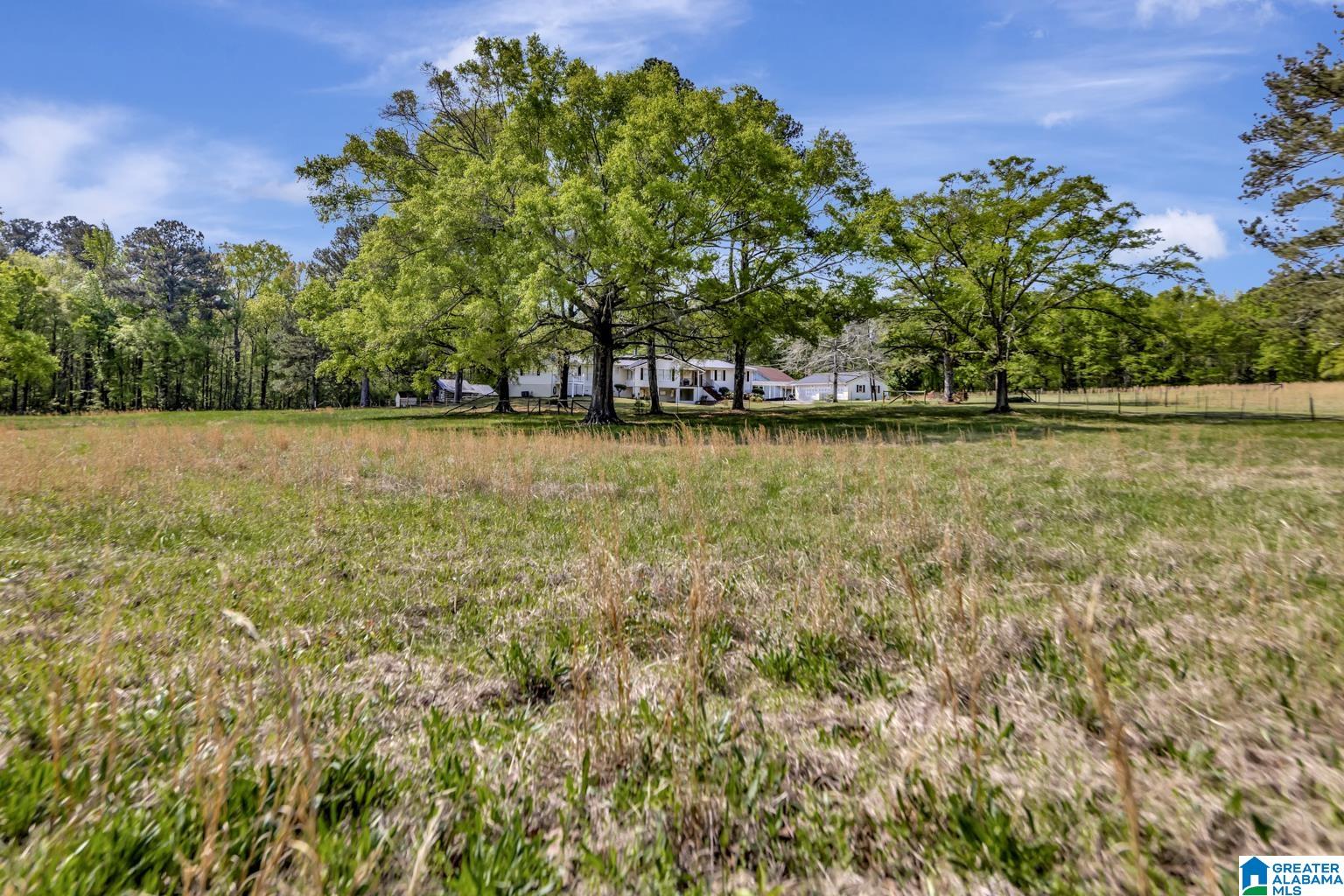 Homes for sale in Ashville, AL | 515 Hoyt Hill Road, Ashville, AL 35953 | MLS# 21437661