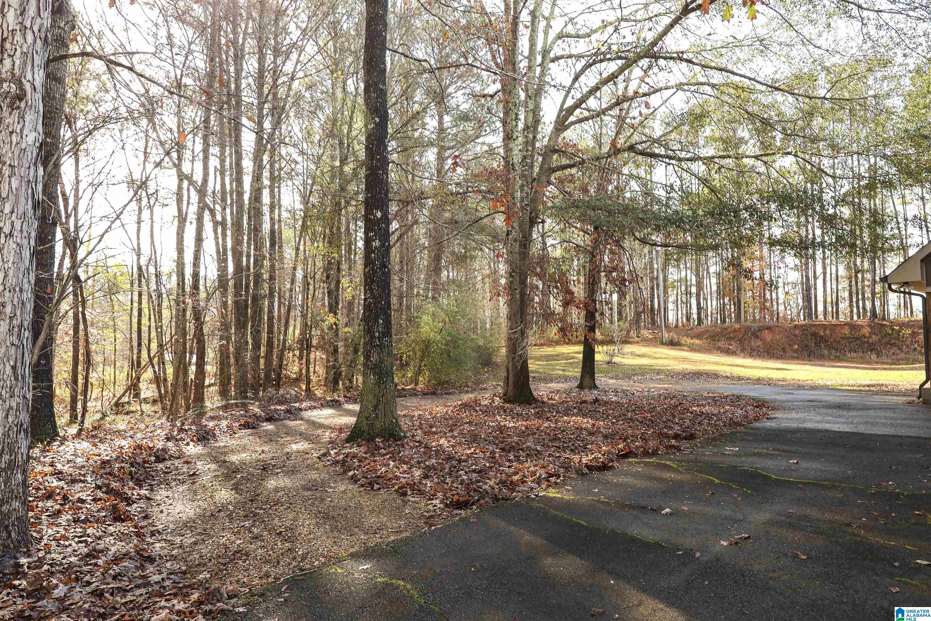 96th image of 1802 County Road 36, Heflin, AL 36264 | MLS# 21437792