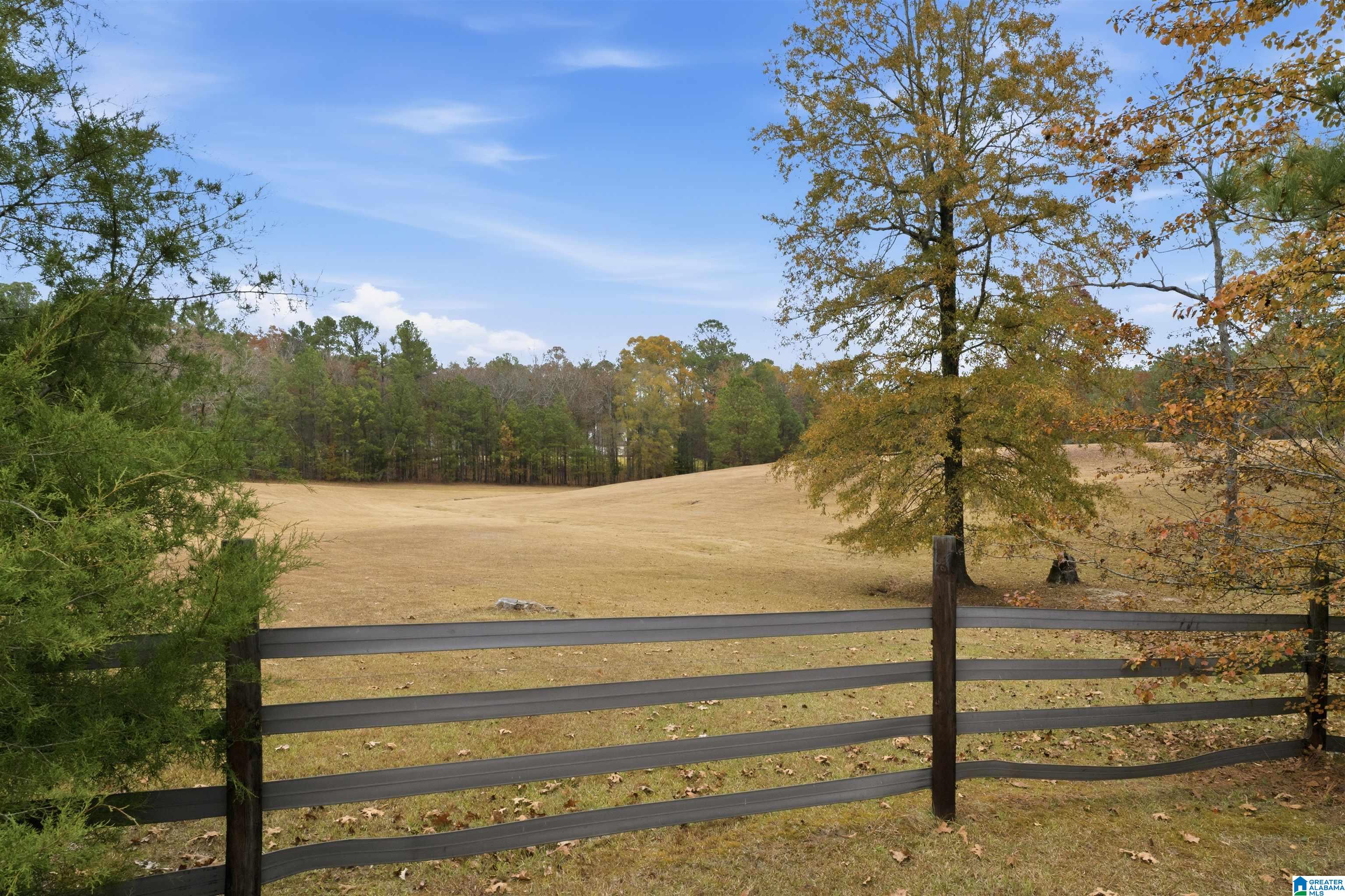 Homes for sale in Wilsonville, AL | 3090 Hwy 51, Wilsonville, AL 35186 | MLS# 21437857