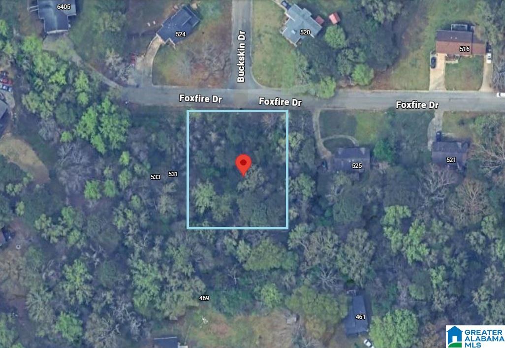 529 FOXFIRE DRIVE