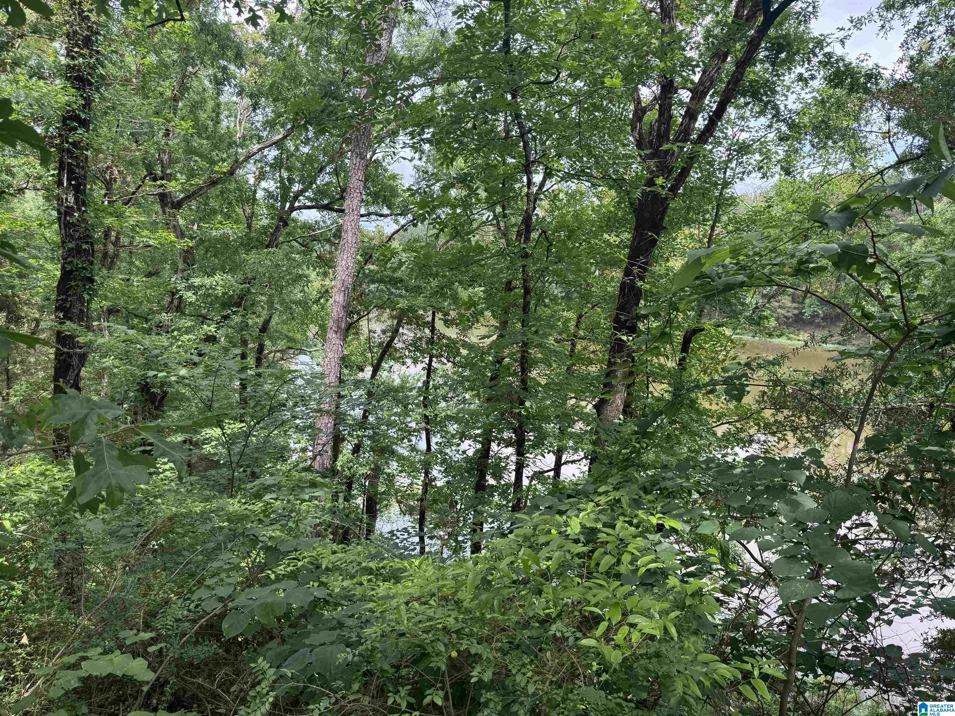 Homes for sale in Northport, AL | 16375 Holly Springs Road, Northport, AL 35475 | MLS# 21438192