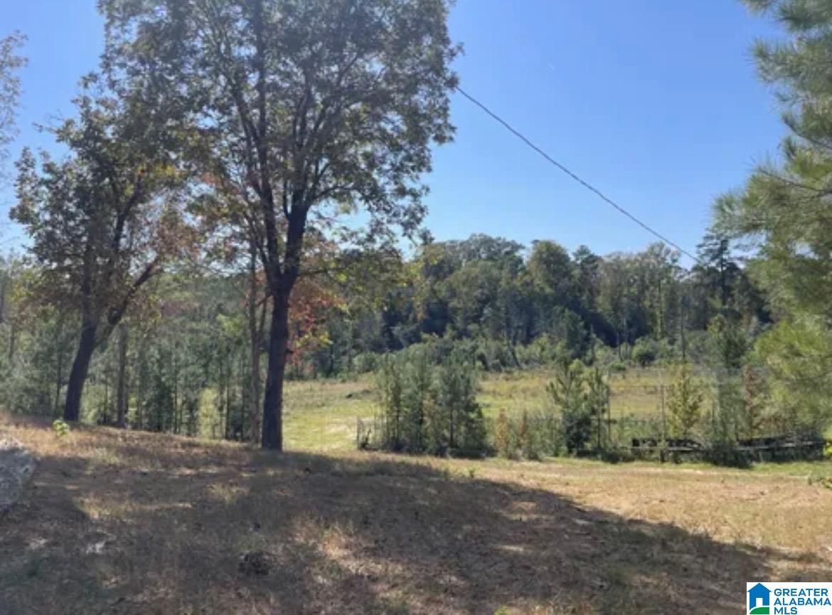 HILL CREEK DRIVE