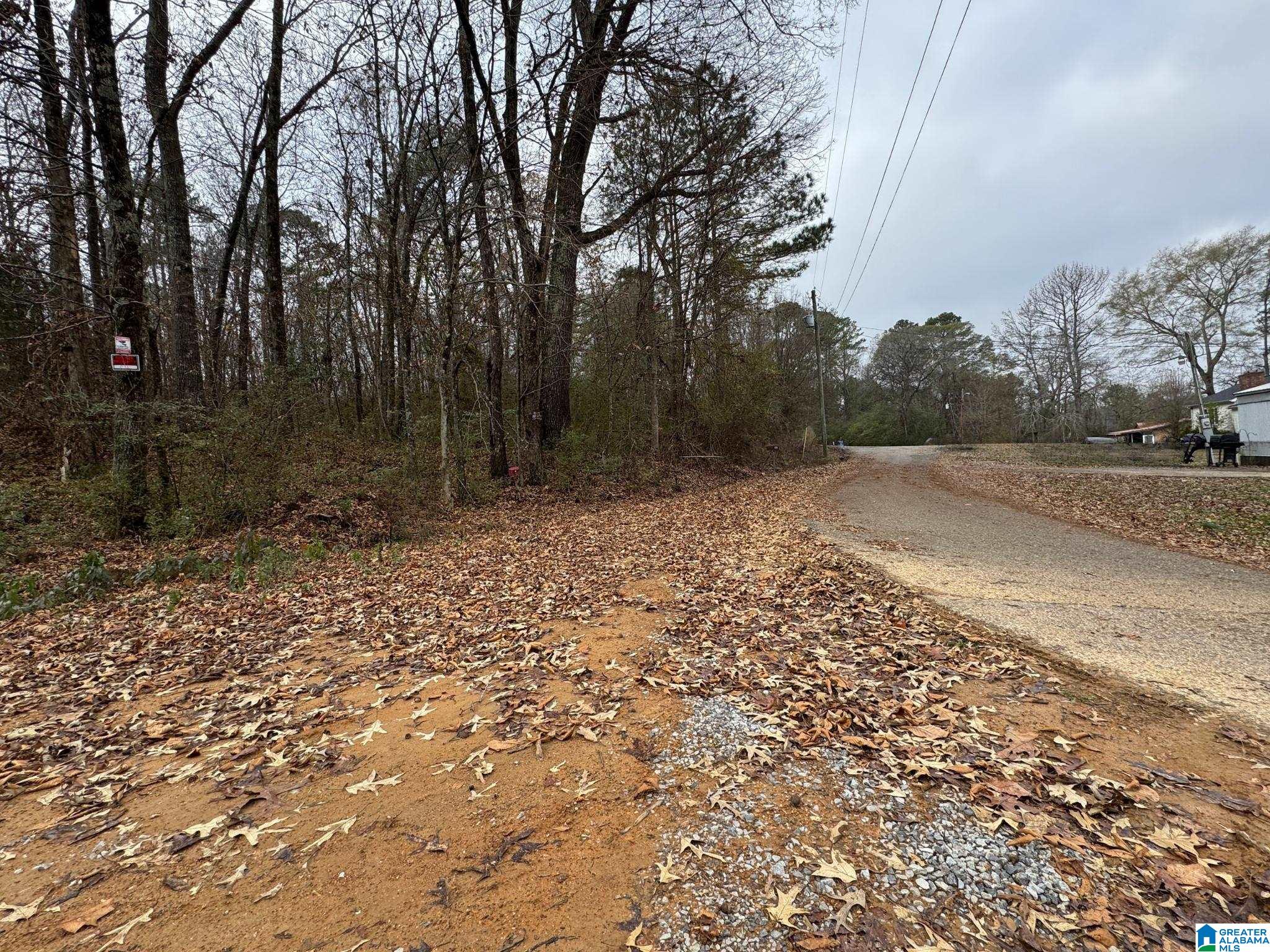 Homes for sale in Anniston, AL | 0 Winslow Avenue, Anniston, AL 36206 | MLS# 21438336