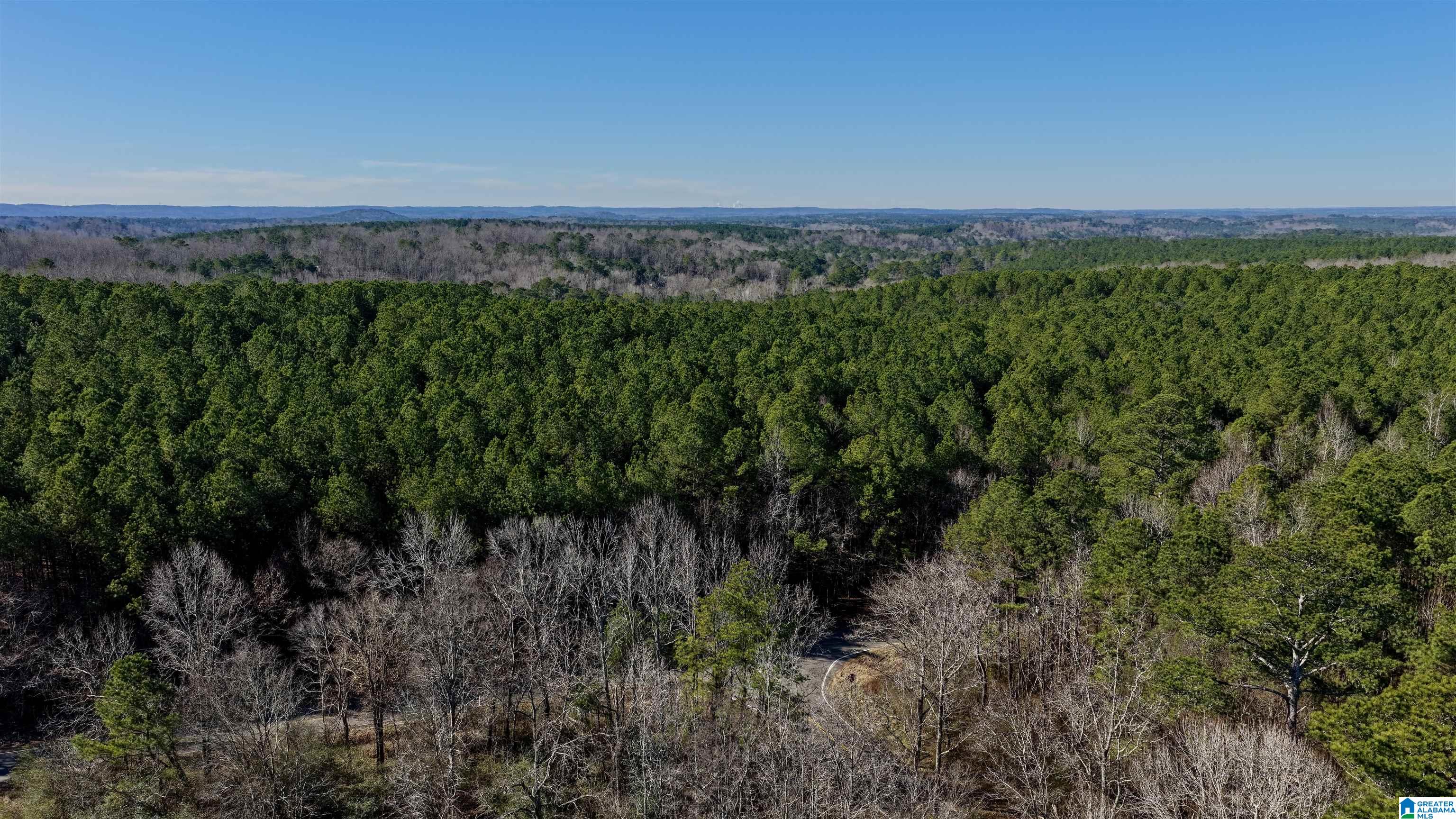 Homes for sale in Warrior, AL | 9400 Bradford Trafford Road, Warrior, AL 35180 | MLS# 21438343