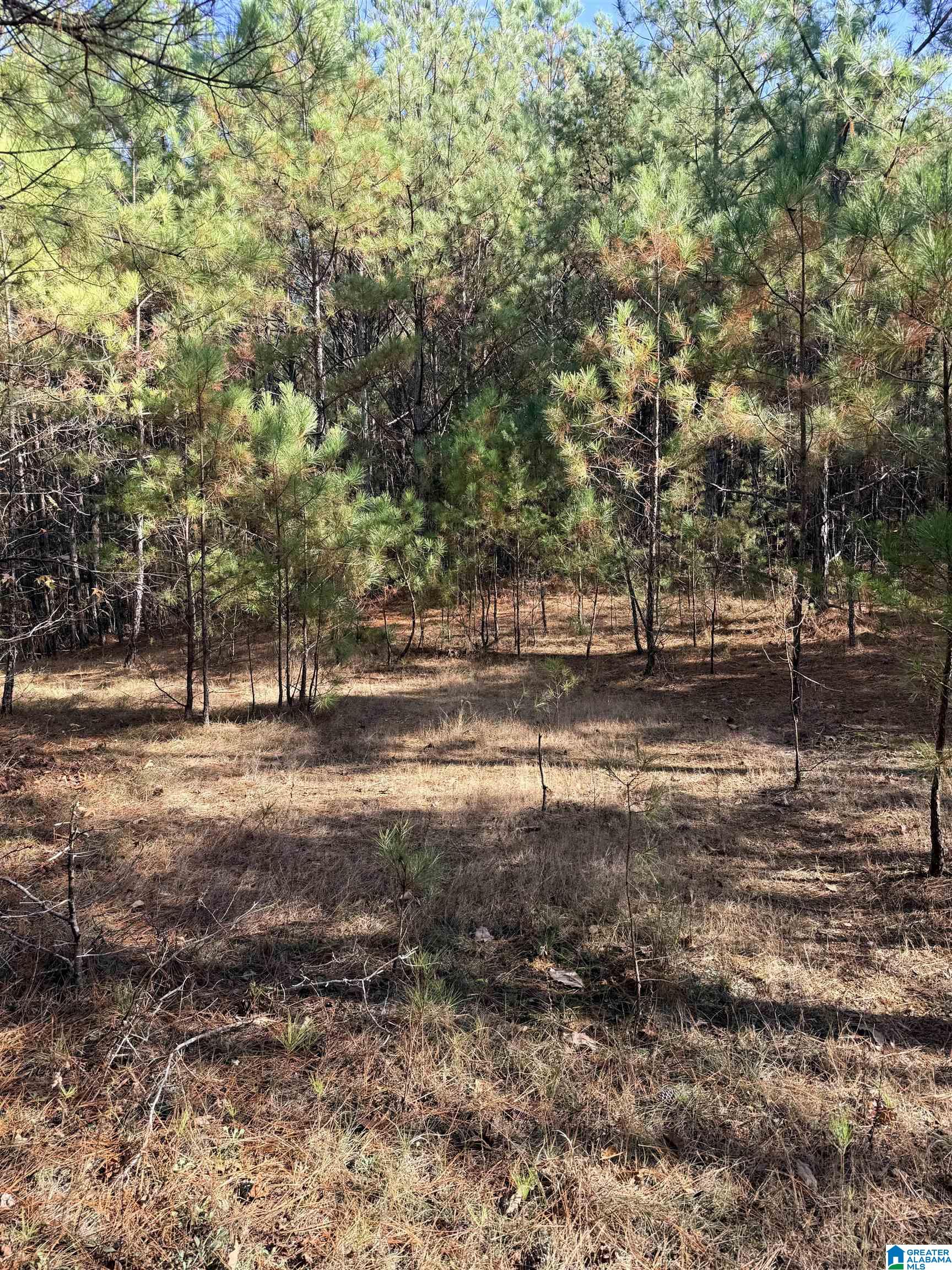 Homes for sale in Warrior, AL | 9400 Bradford Trafford Road, Warrior, AL 35180 | MLS# 21438343