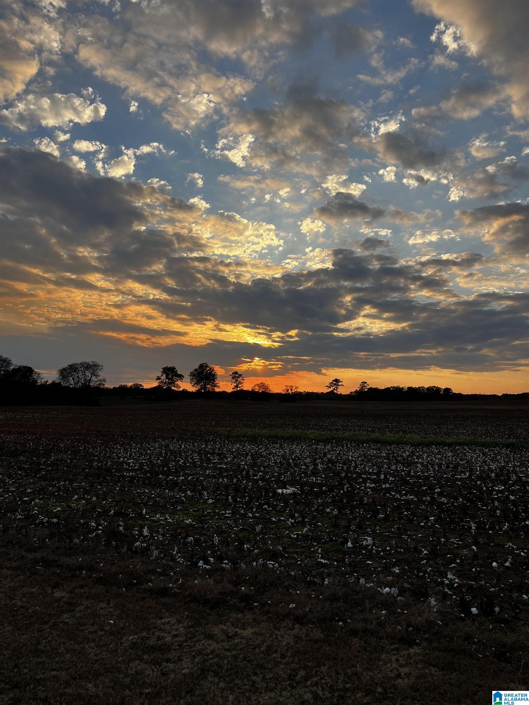 Homes for sale in Harpersville, AL | 1593 Tanyard Road, Harpersville, AL 35078 | MLS# 21438430