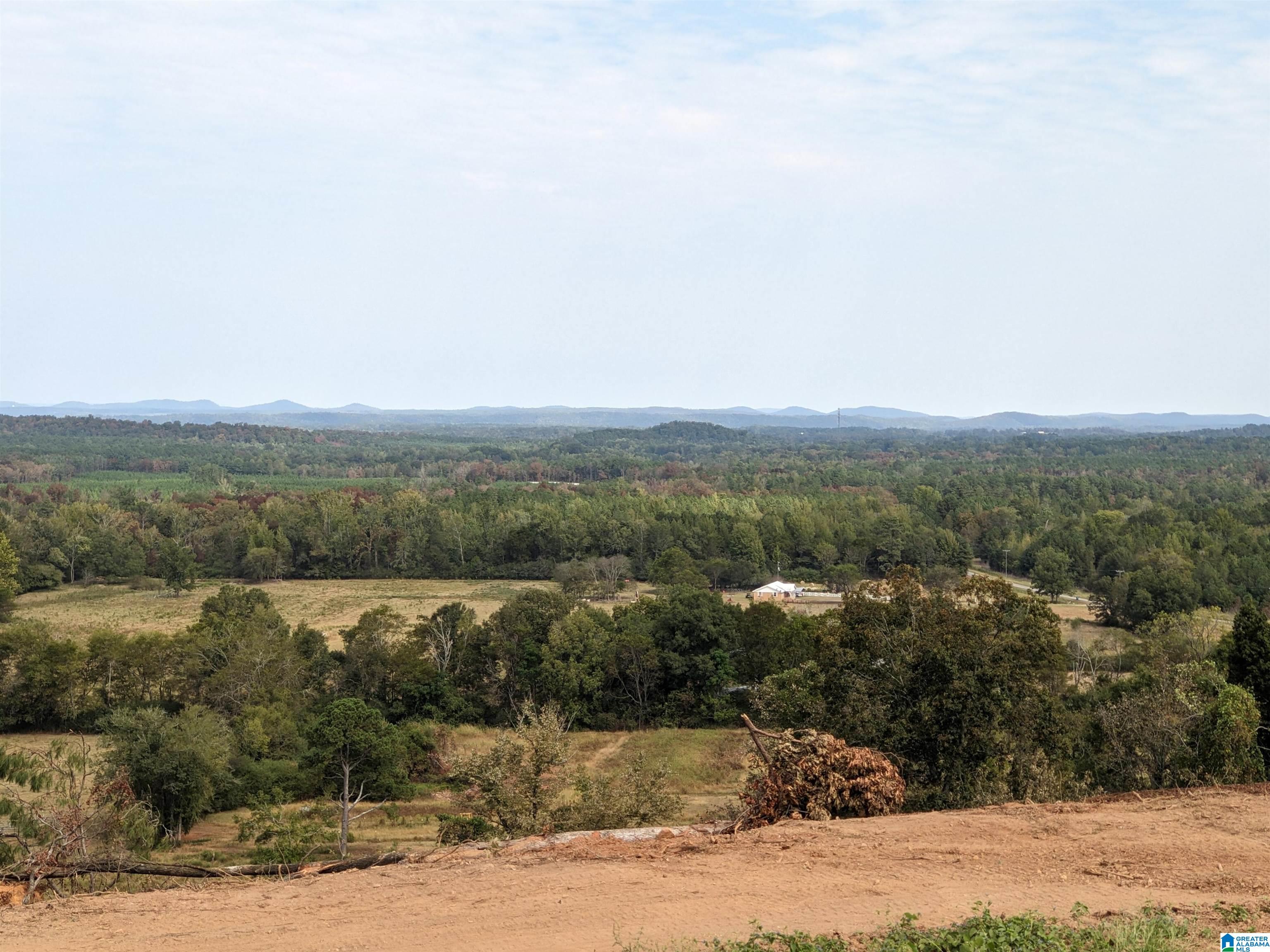 16091 JACKSON TRACE ROAD