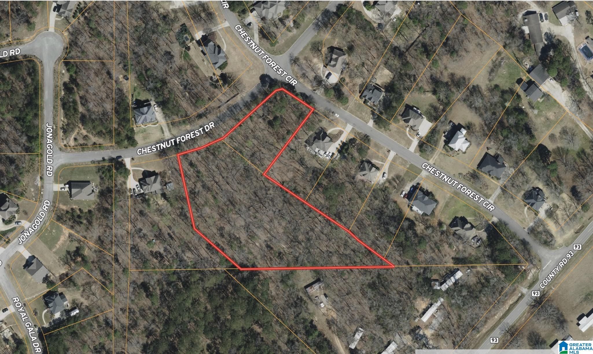 303 CHESTNUT FOREST DRIVE