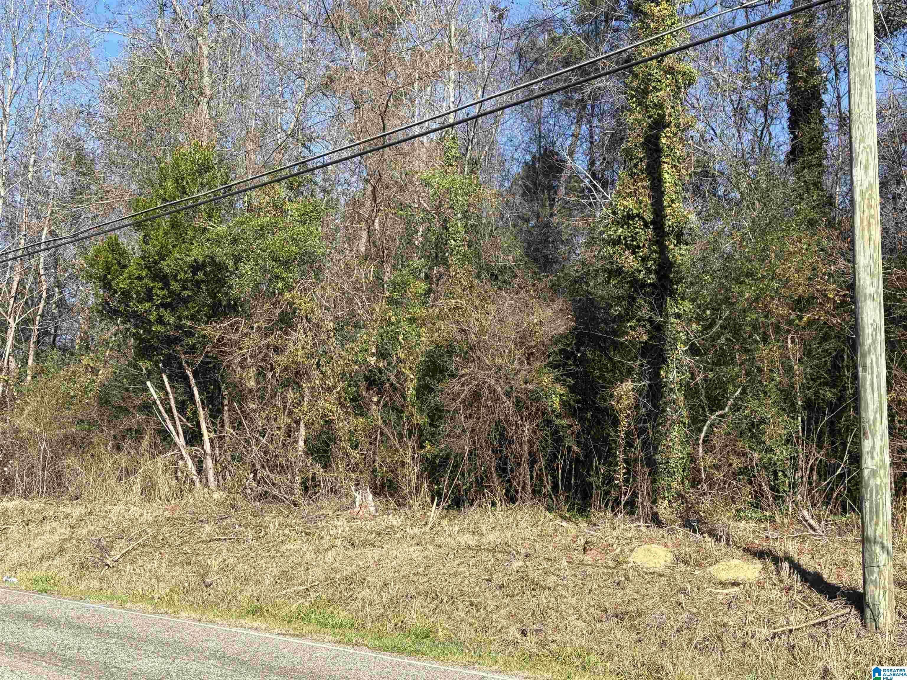 731 PINEWOOD AVENUE
